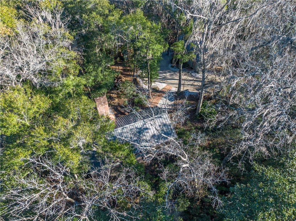 1320 Douglas Fish Camp Road White Oak, GA 31568 - Photo 9 of 73