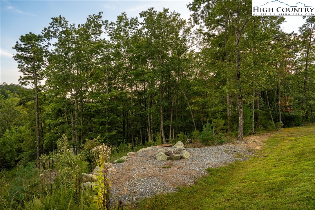 1628 Jumpseed Way Boone, NC 28607 - Photo 9 of 50 a backyard of a house with lots of green space