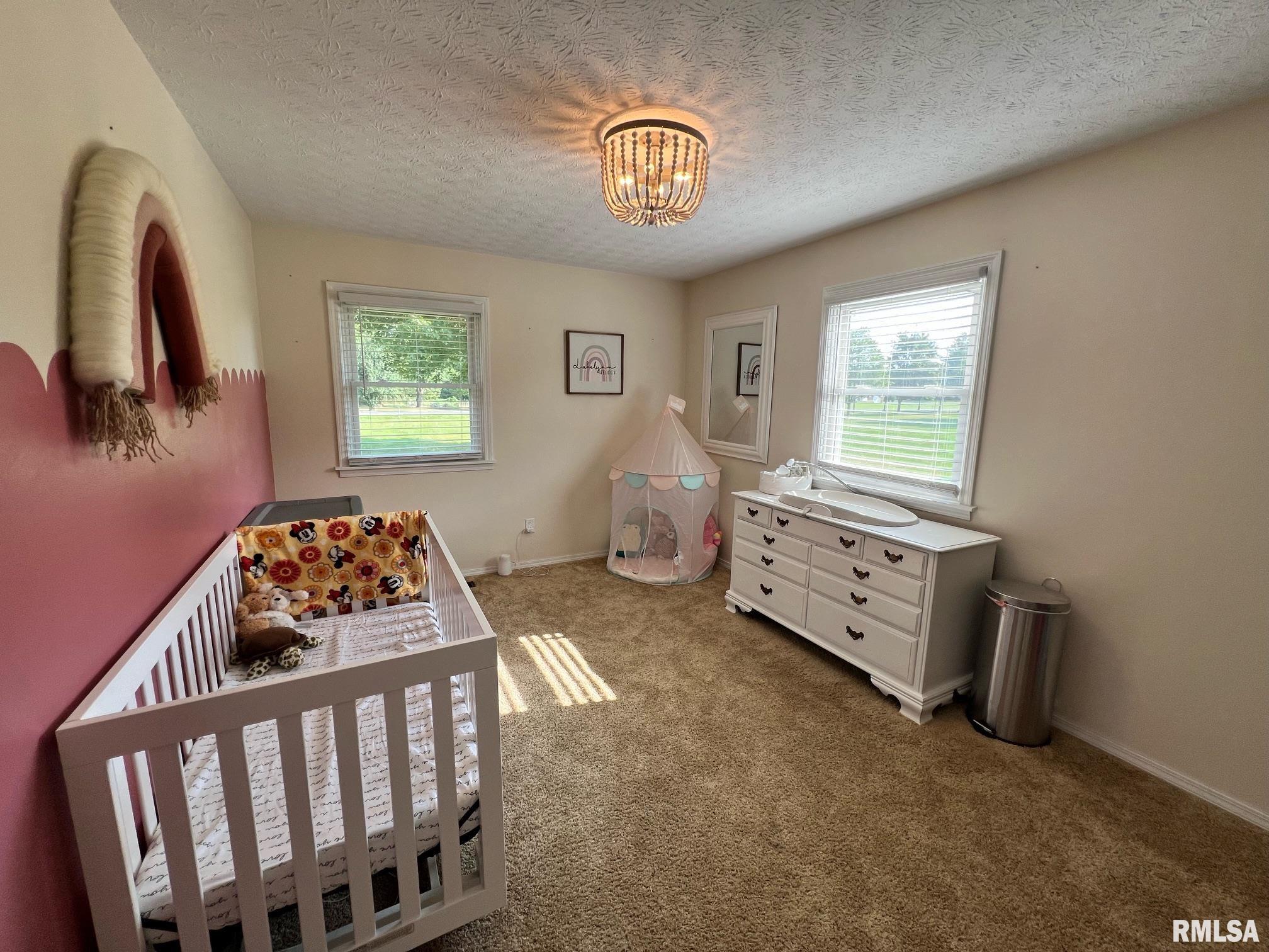 11575 East Radisson Road Mount Vernon, IL 62864 - Photo 8 of 13 Gallery Image 8