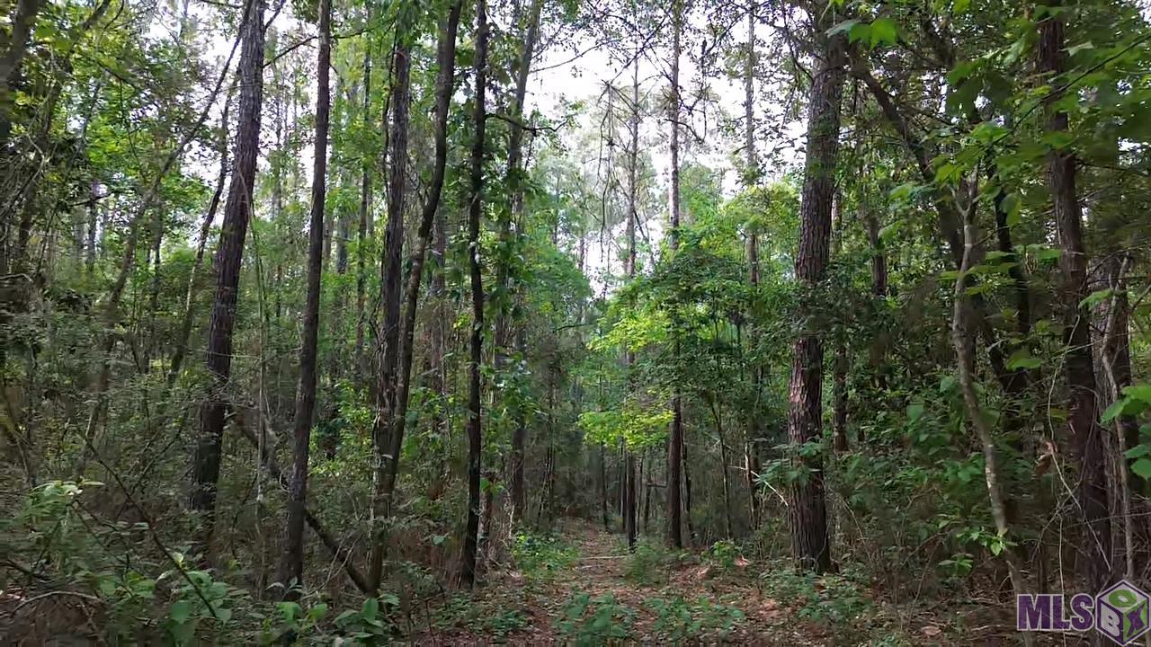 83166 Isabel Swamp Road Bush, LA 70431 - Photo 15 of 20