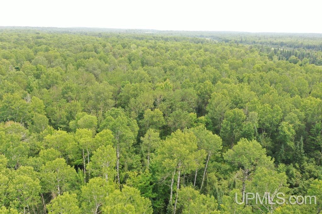 Tbd Tbd Goldberg Road Ewen, MI 49925 - Photo 4 of 6