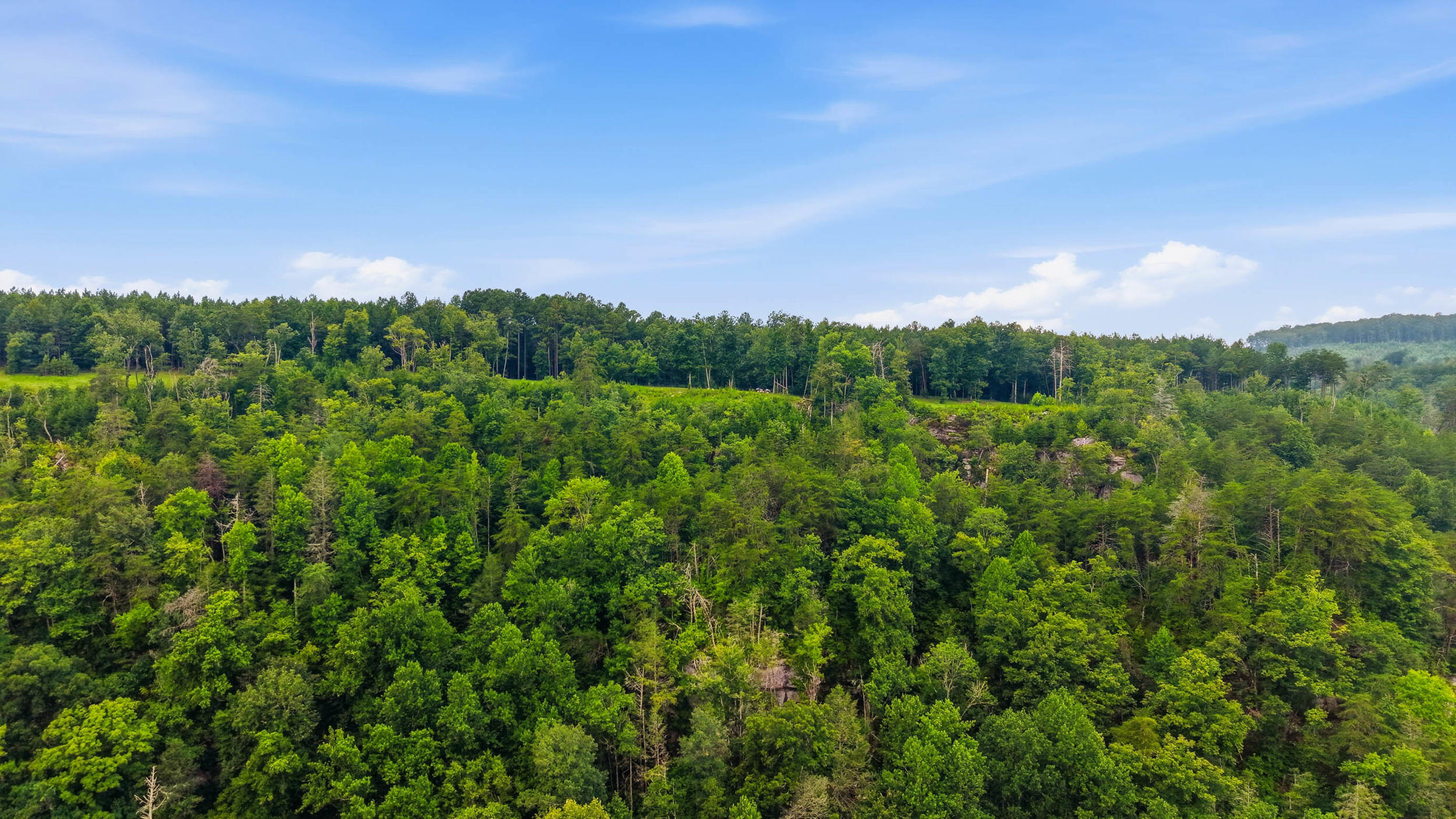 0 Worley Road, Unit LOT 10 Soddy-Daisy, TN 37379 - Photo 10 of 40 Lot 10-29