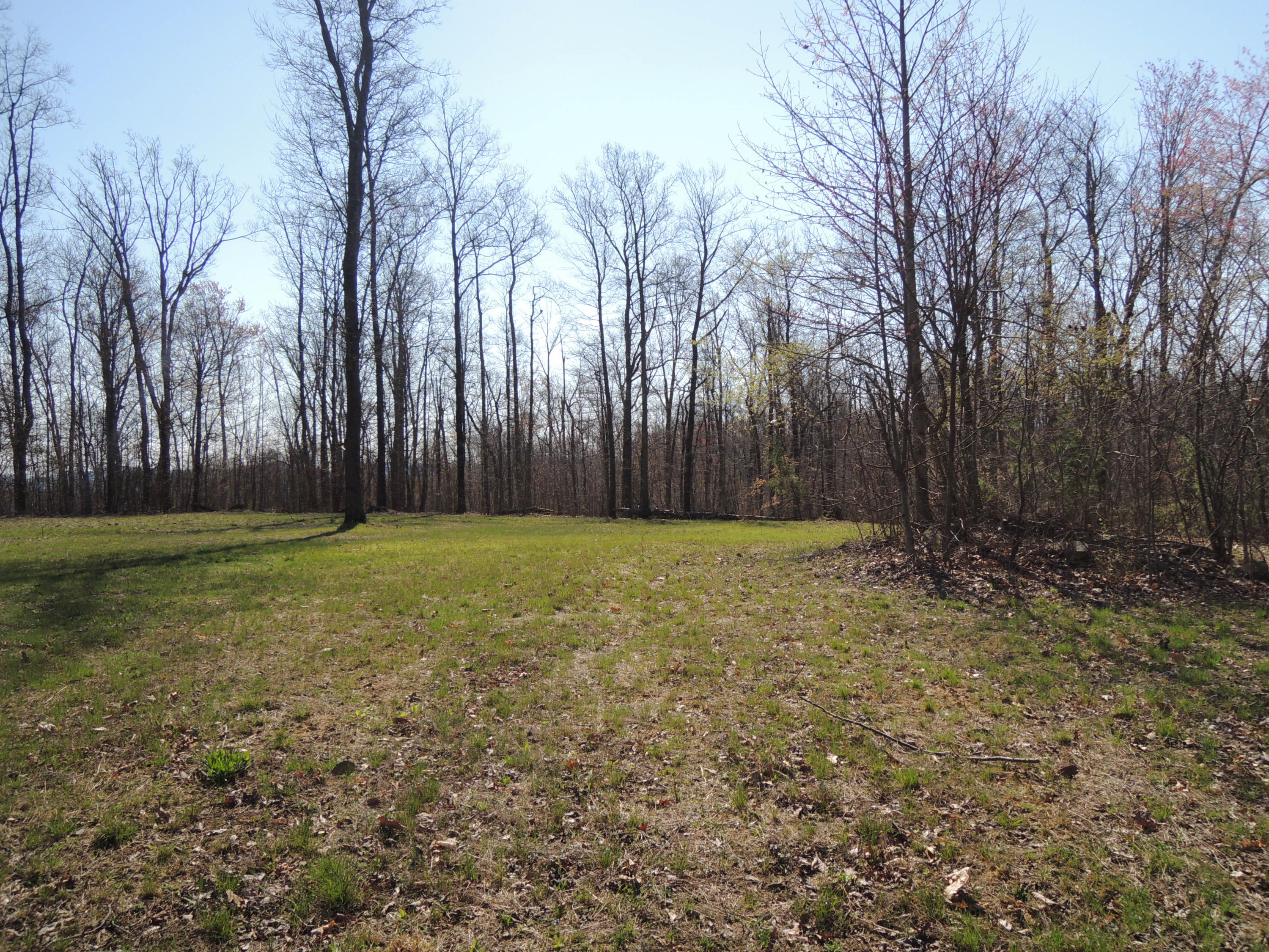 Trammell Cemetery Road Winfield, TN 37892 - Photo 1 of 15 Qualls 034