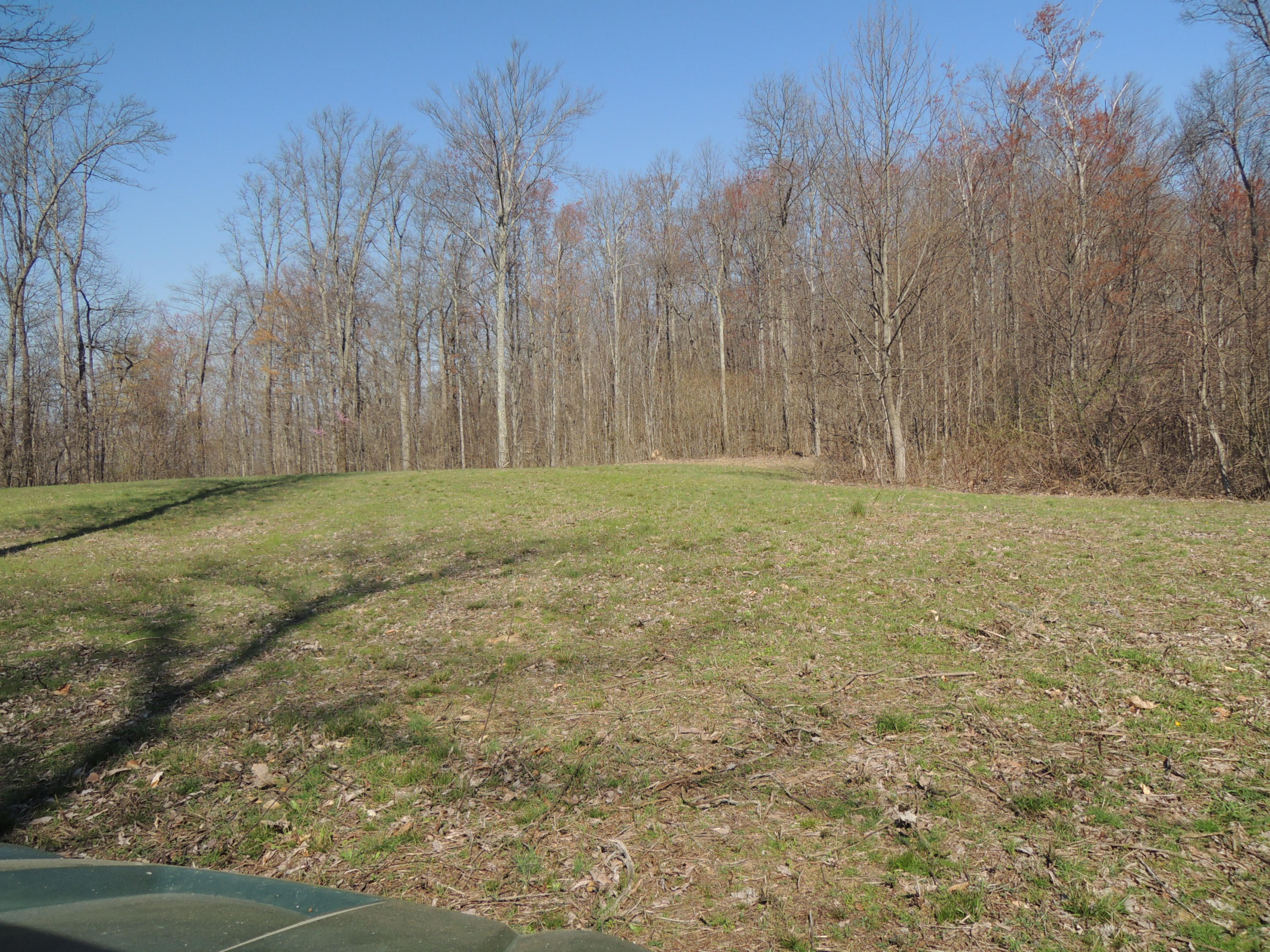 Trammell Cemetery Road Winfield, TN 37892 - Photo 2 of 15 Qualls 035