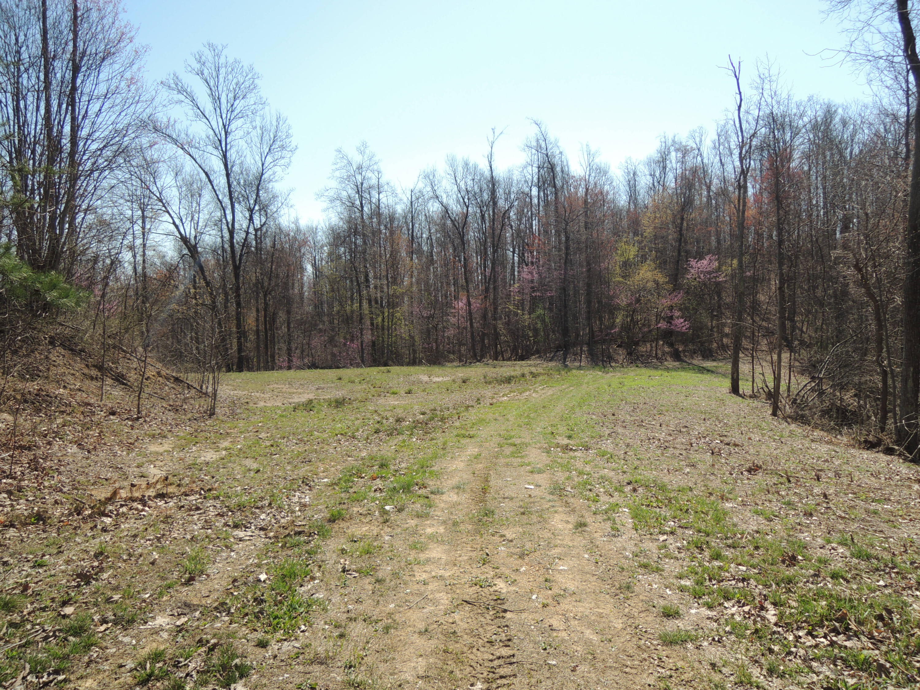 Trammell Cemetery Road Winfield, TN 37892 - Photo 12 of 15 Qualls 045