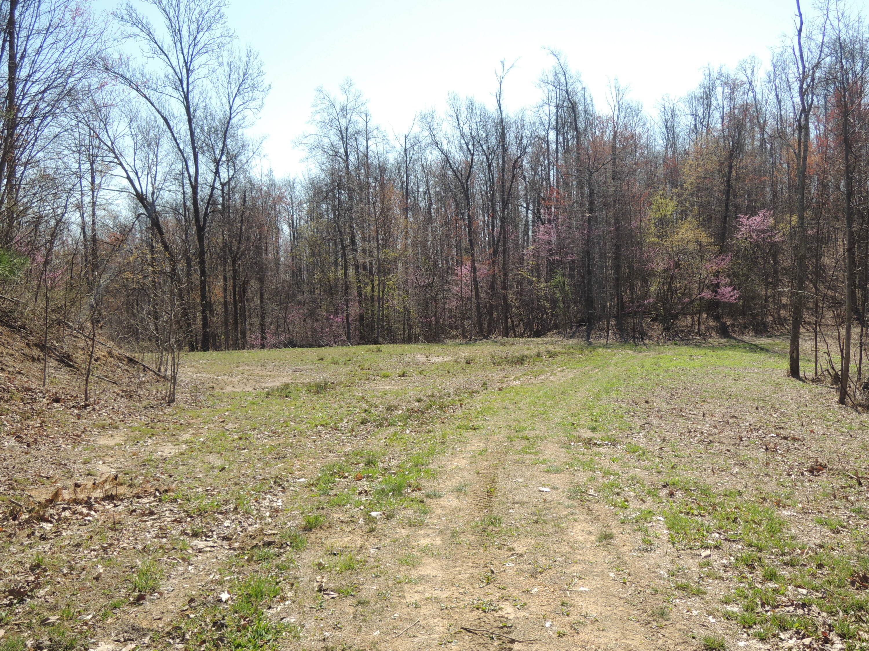 Trammell Cemetery Road Winfield, TN 37892 - Photo 13 of 15 Qualls 046