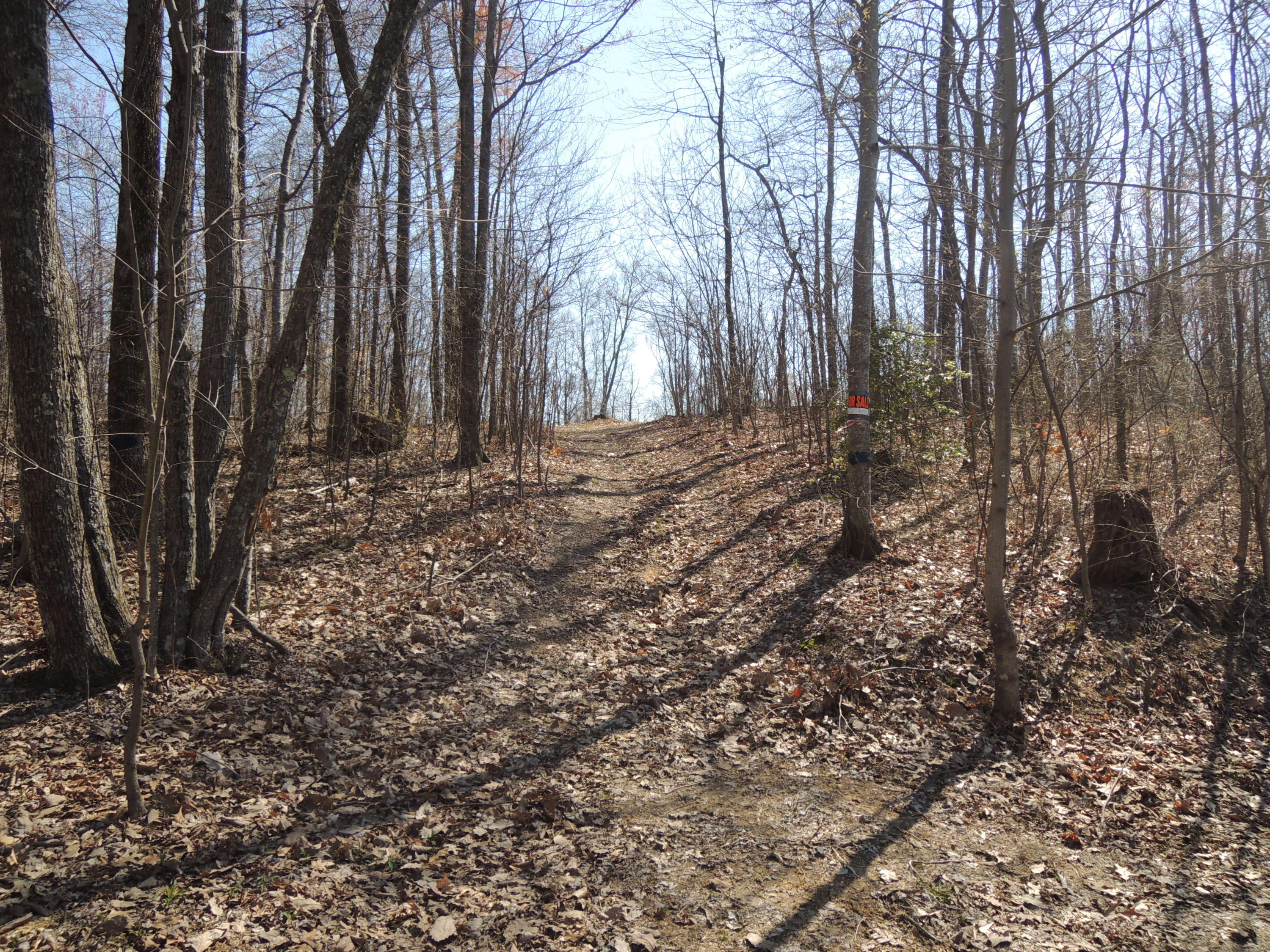 Trammell Cemetery Road Winfield, TN 37892 - Photo 14 of 15 Qualls 047