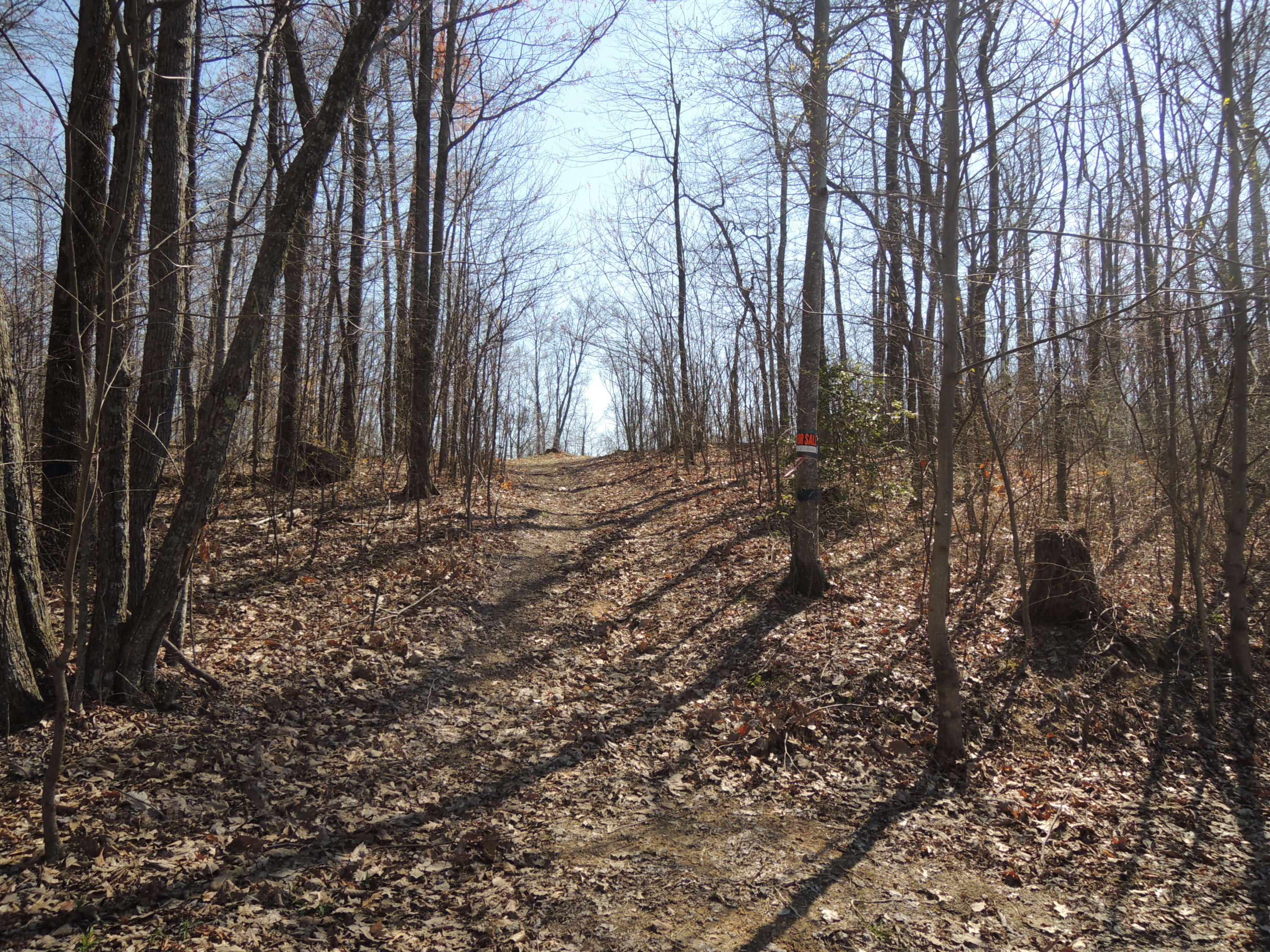 Trammell Cemetery Road Winfield, TN 37892 - Photo 15 of 15 Qualls 048