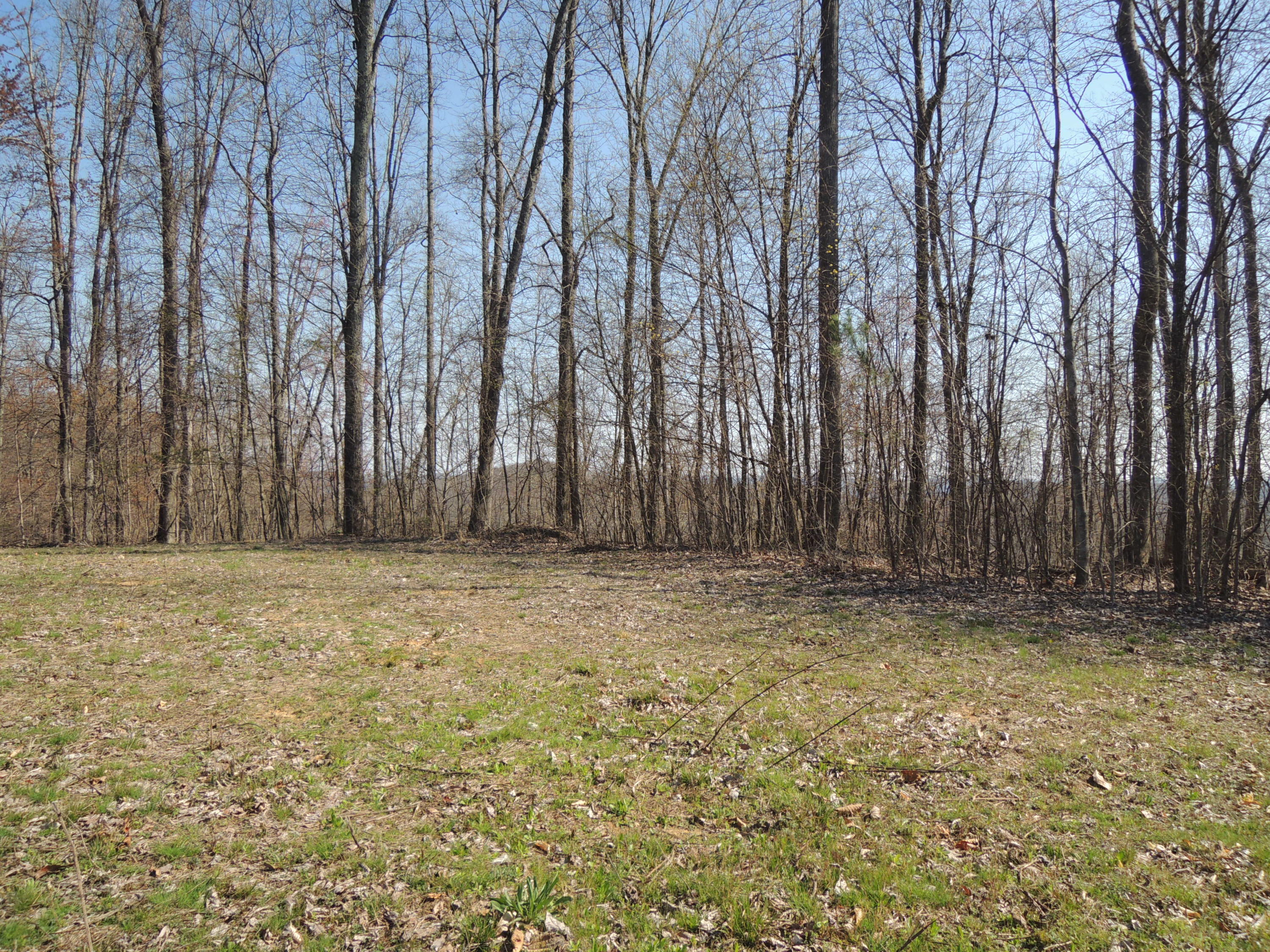 Trammell Cemetery Road Winfield, TN 37892 - Photo 3 of 15 Qualls 036