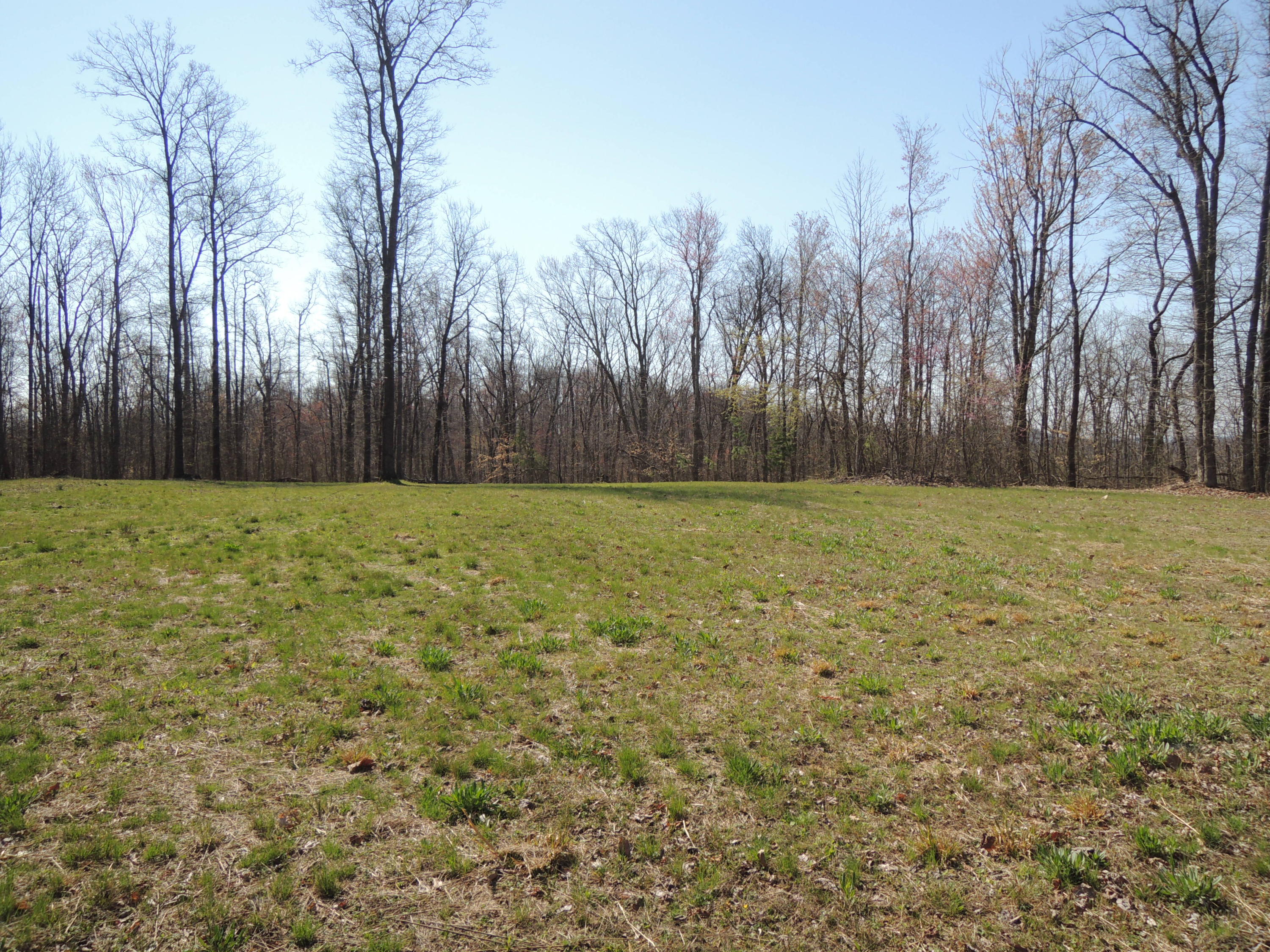 Trammell Cemetery Road Winfield, TN 37892 - Photo 4 of 15 Qualls 037