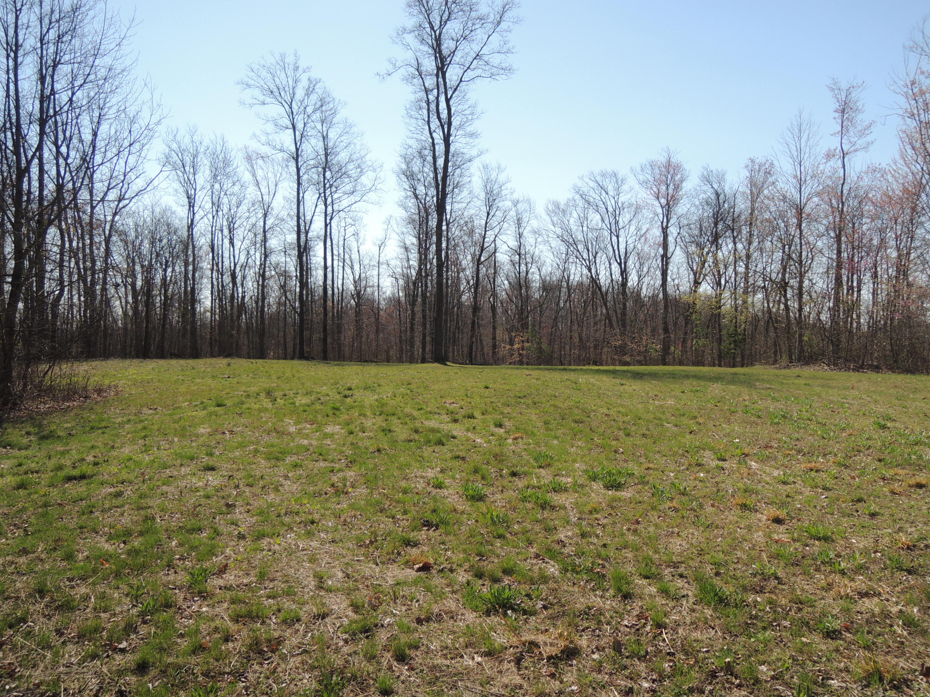 Trammell Cemetery Road Winfield, TN 37892 - Photo 5 of 15 Qualls 038
