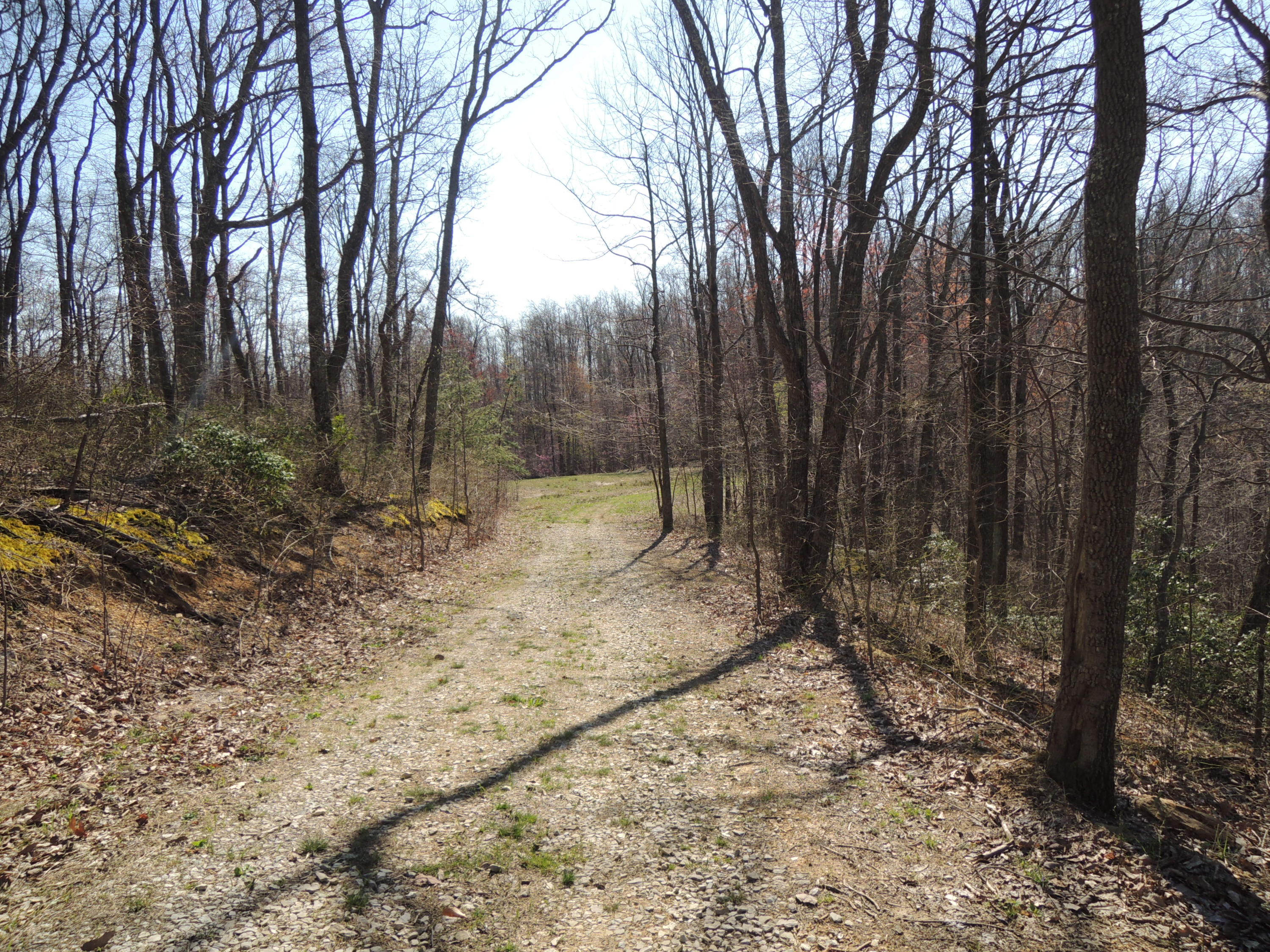 Trammell Cemetery Road Winfield, TN 37892 - Photo 6 of 15 Qualls 039