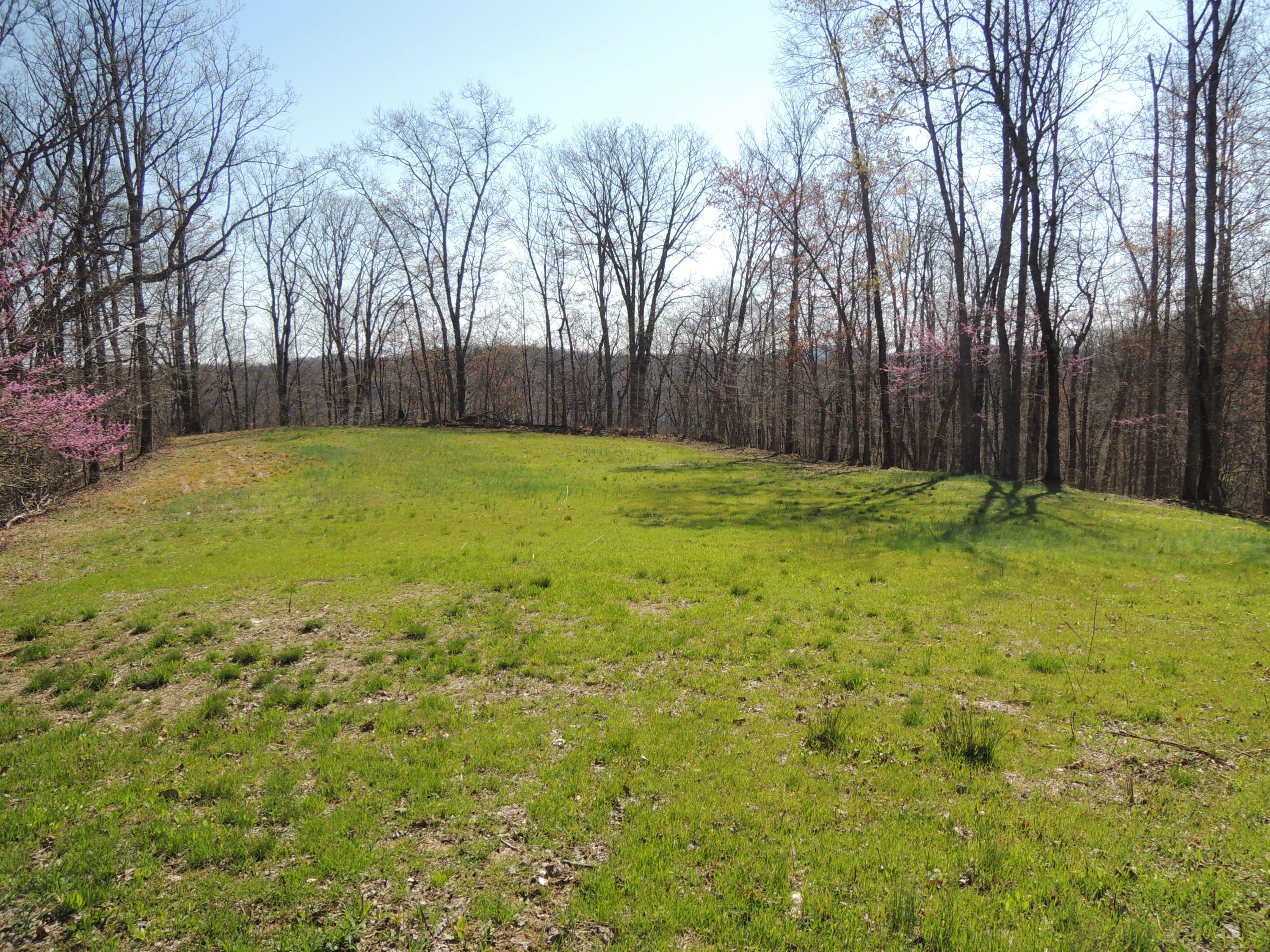 Trammell Cemetery Road Winfield, TN 37892 - Photo 7 of 15 Qualls 040