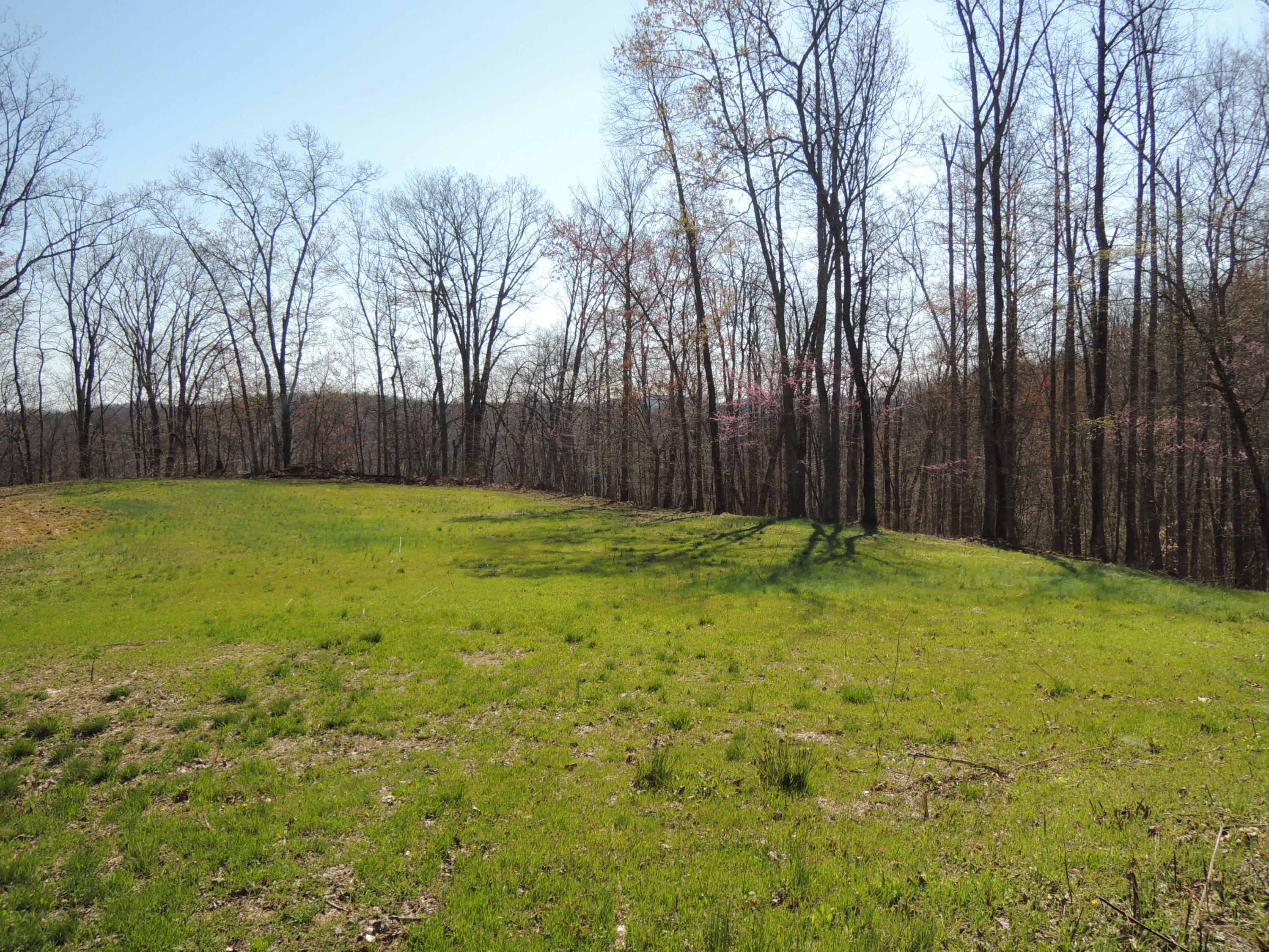 Trammell Cemetery Road Winfield, TN 37892 - Photo 8 of 15 Qualls 041