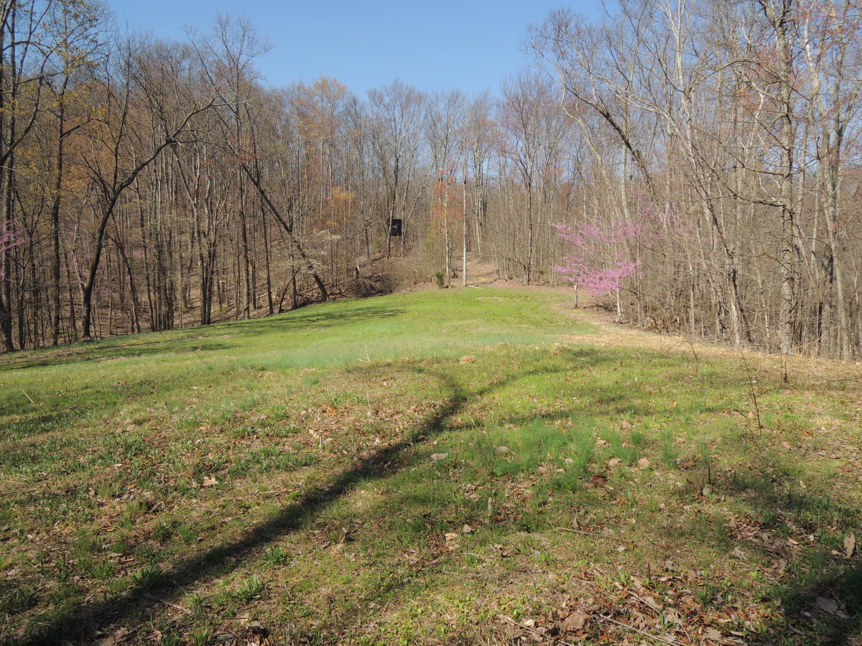 Trammell Cemetery Road Winfield, TN 37892 - Photo 9 of 15 Qualls 042