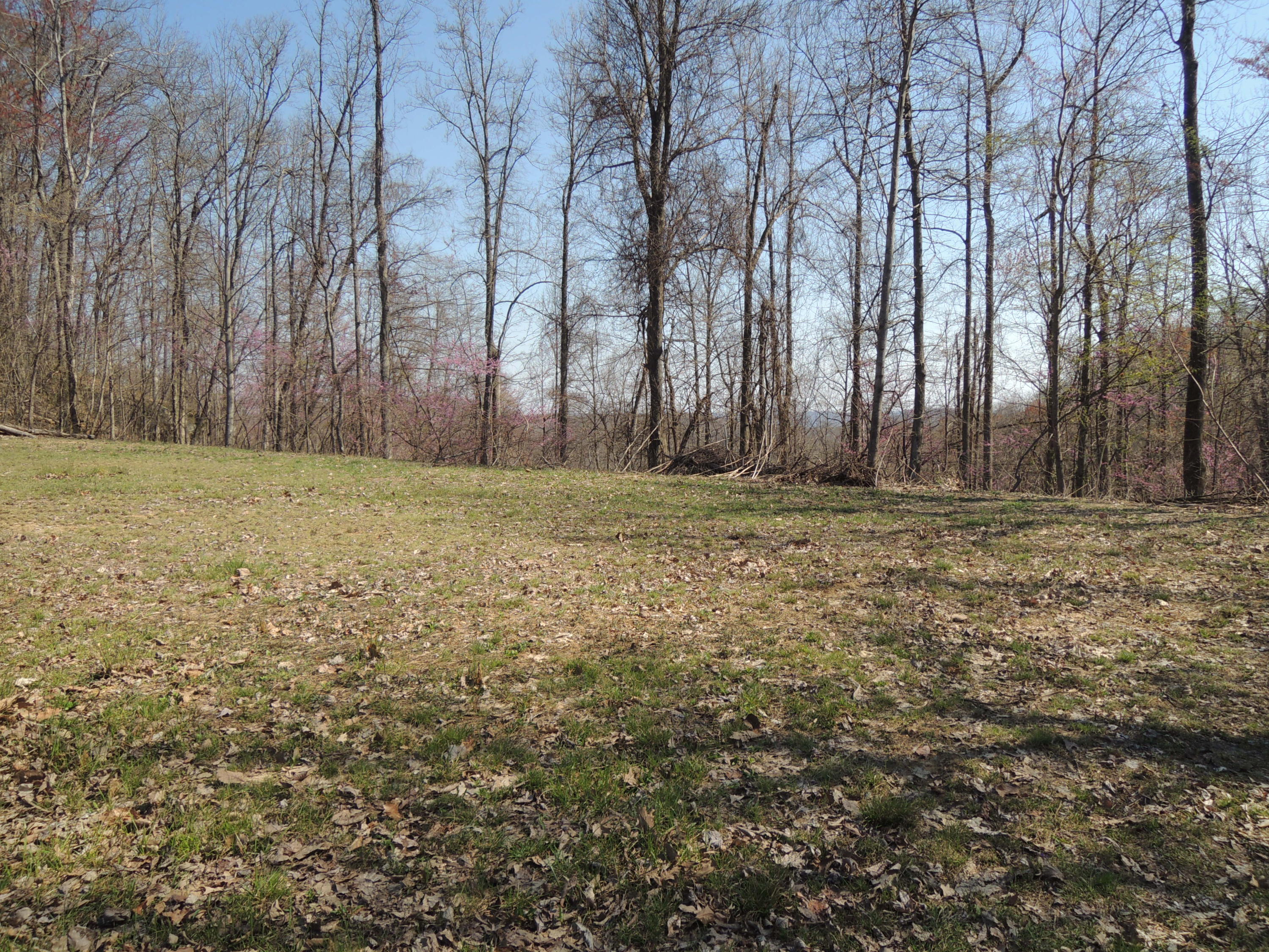Trammell Cemetery Road Winfield, TN 37892 - Photo 10 of 15 Qualls 043