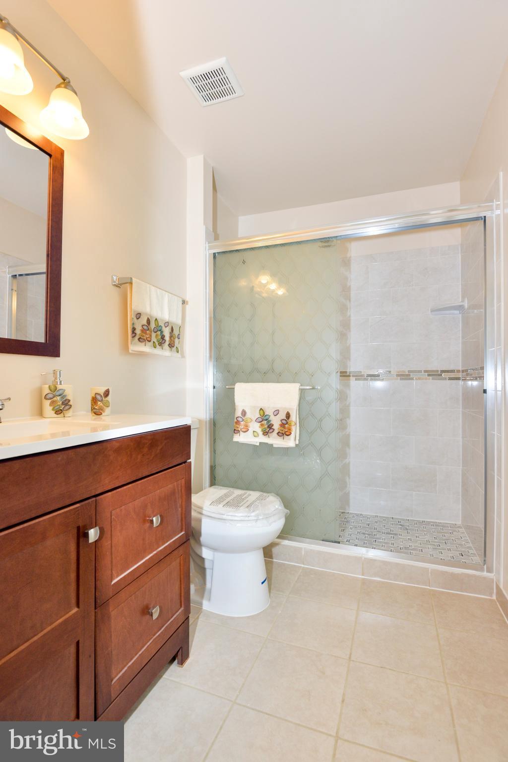 20300 Bucklodge Road Boyds, MD 20841 - Photo 14 of 23 Bath (Master)