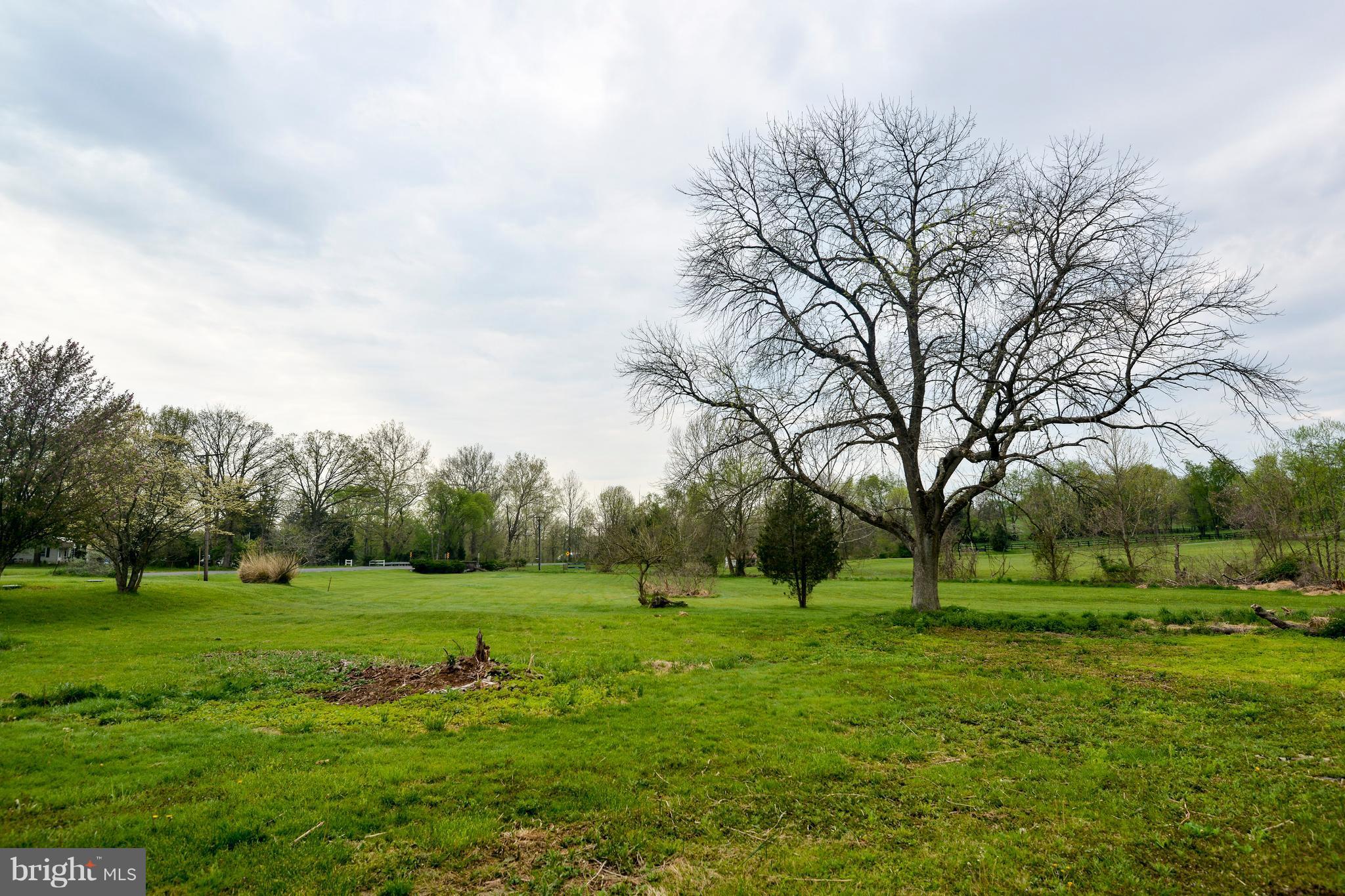 20300 Bucklodge Road Boyds, MD 20841 - Photo 23 of 23 Back Lot View