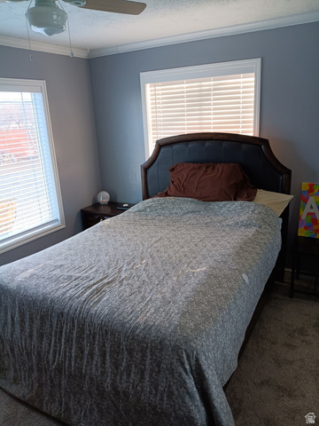290 North 100 E Street Beaver, UT 84713 - Photo 8 of 29