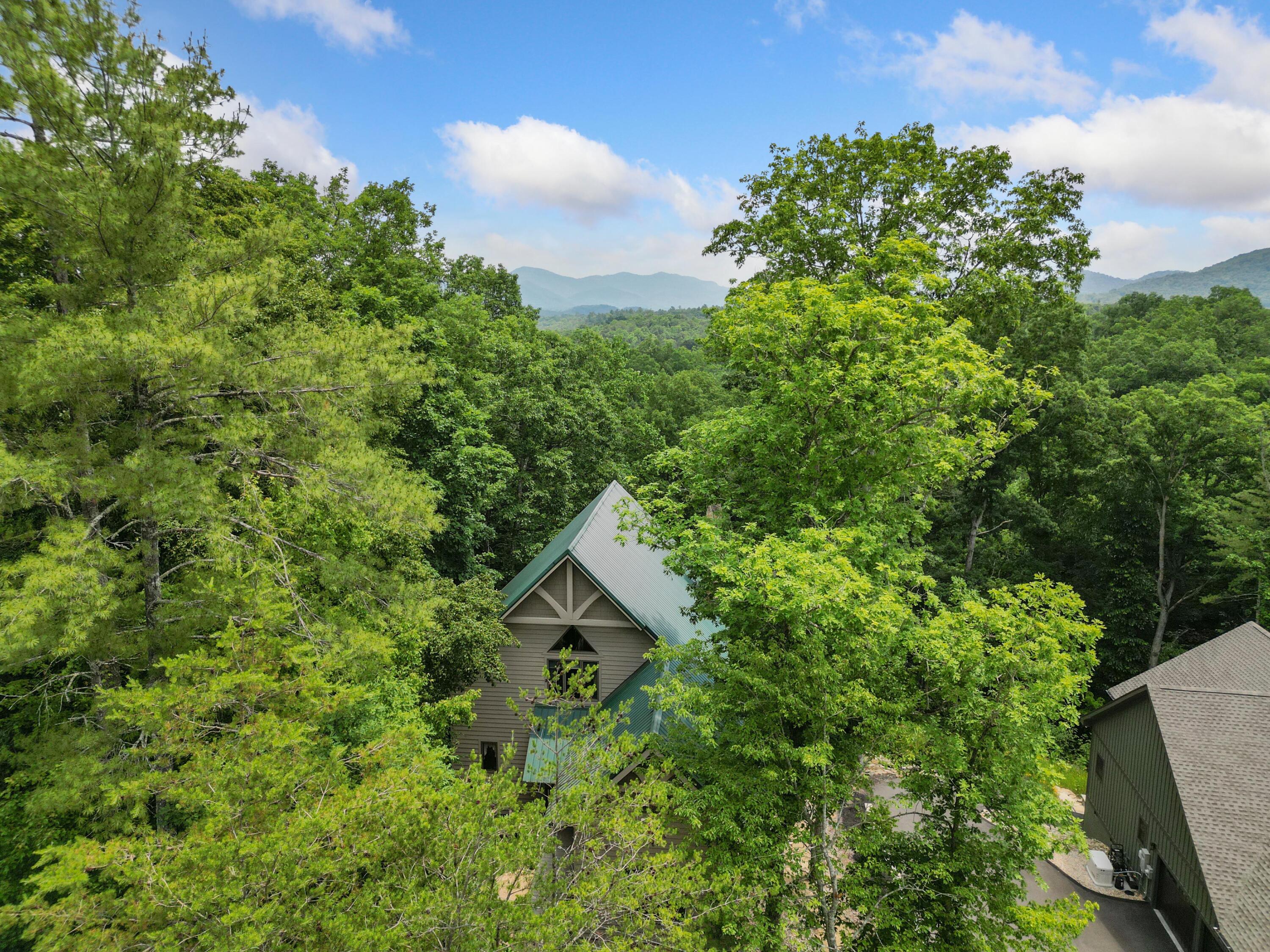 374 Laurel Road Townsend, TN 37882 - Photo 1 of 57 Exterior (20)