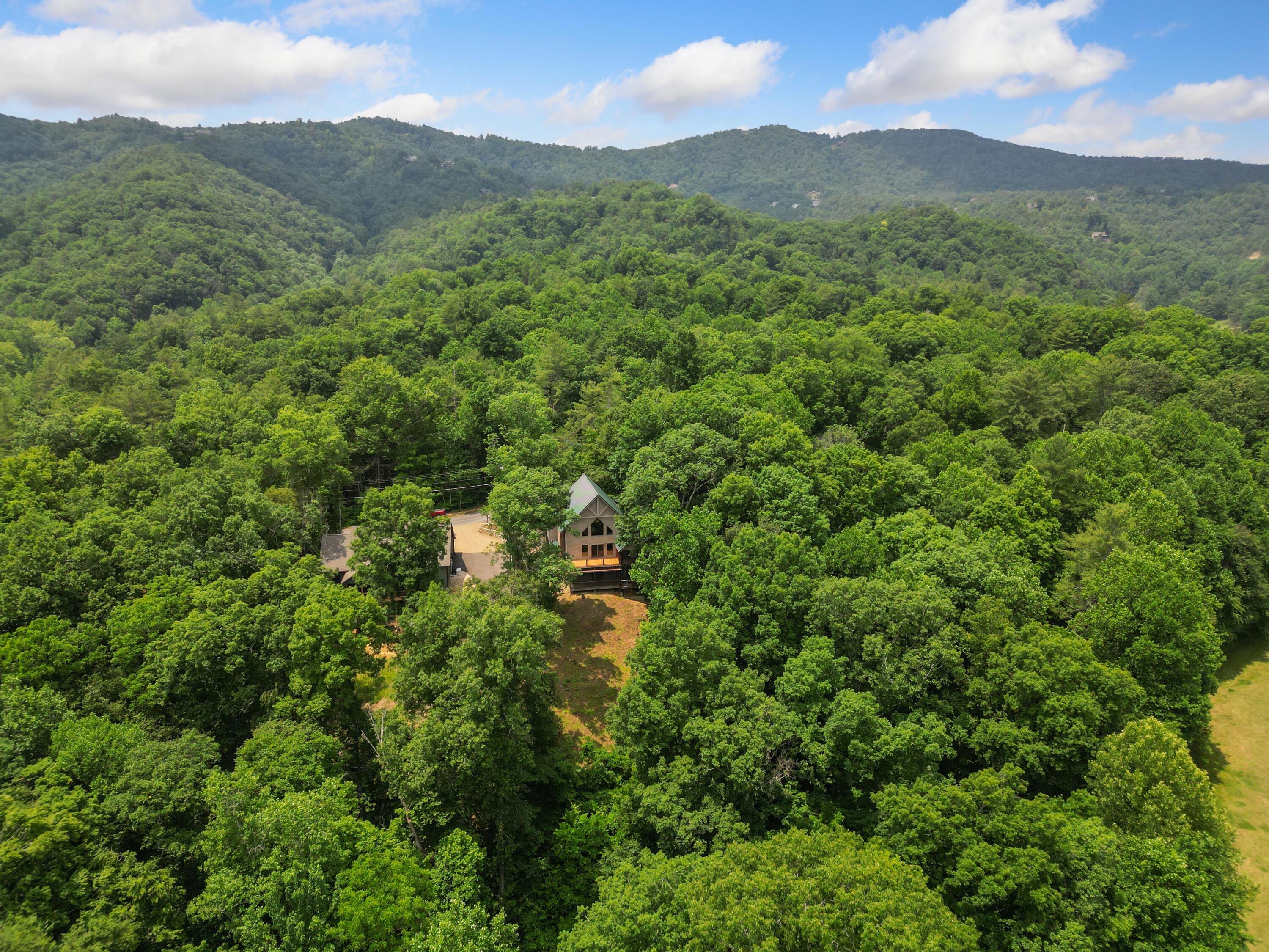 374 Laurel Road Townsend, TN 37882 - Photo 55 of 57 Exterior (16)