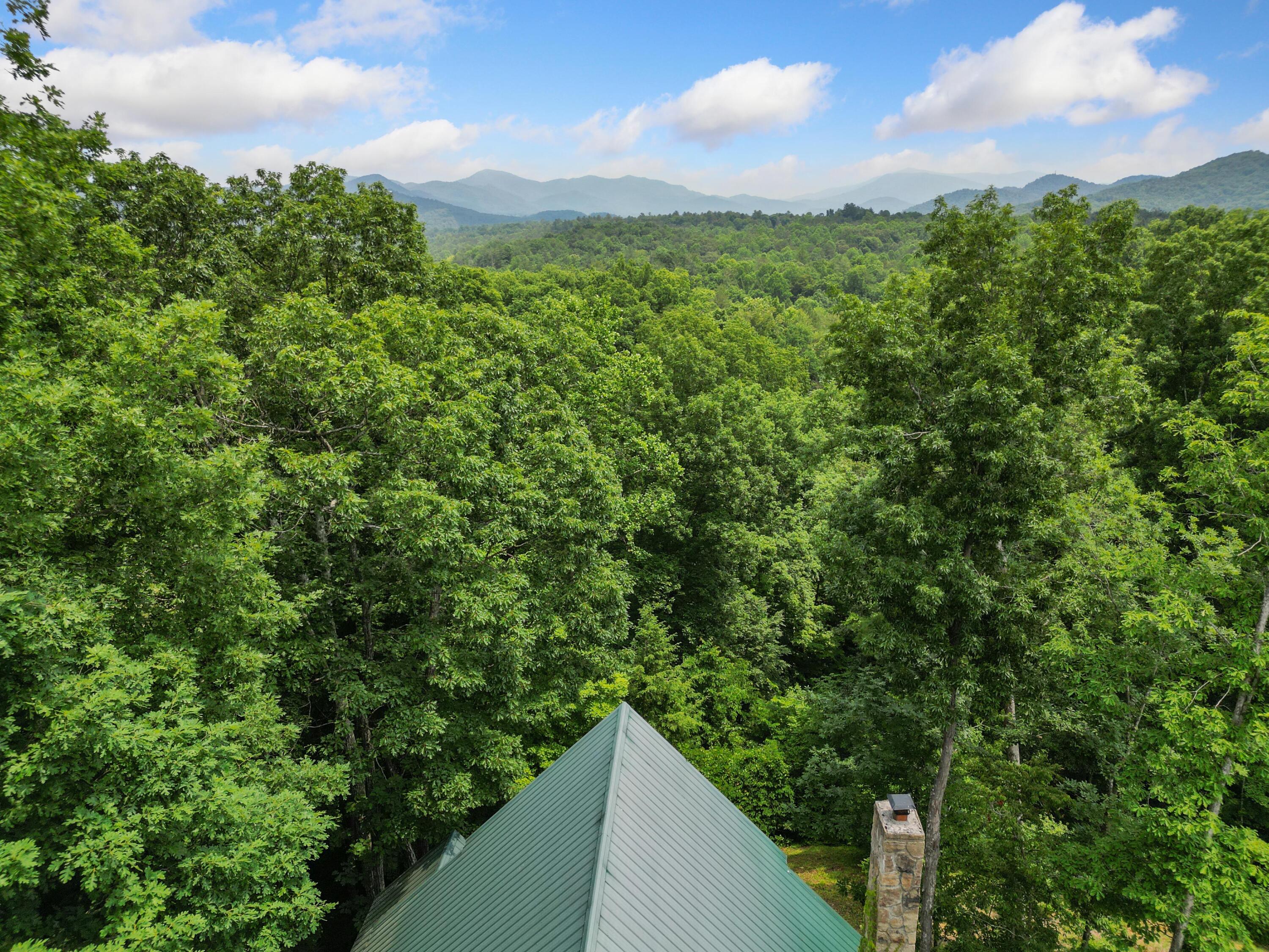 374 Laurel Road Townsend, TN 37882 - Photo 56 of 57 Exterior (18)