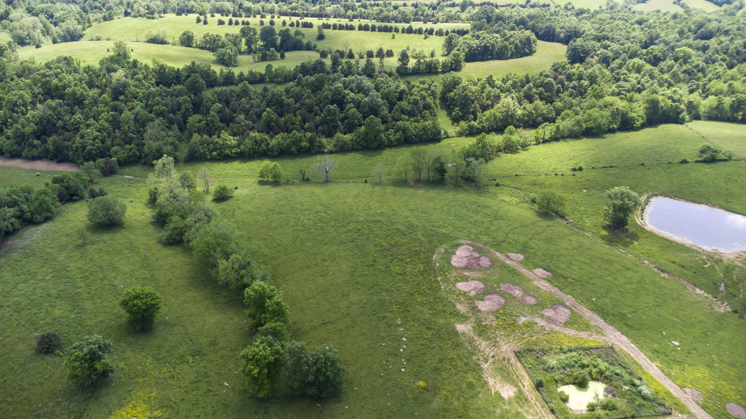 850 West Gardner Road Cynthiana, KY 41031 - Photo 34 of 45
