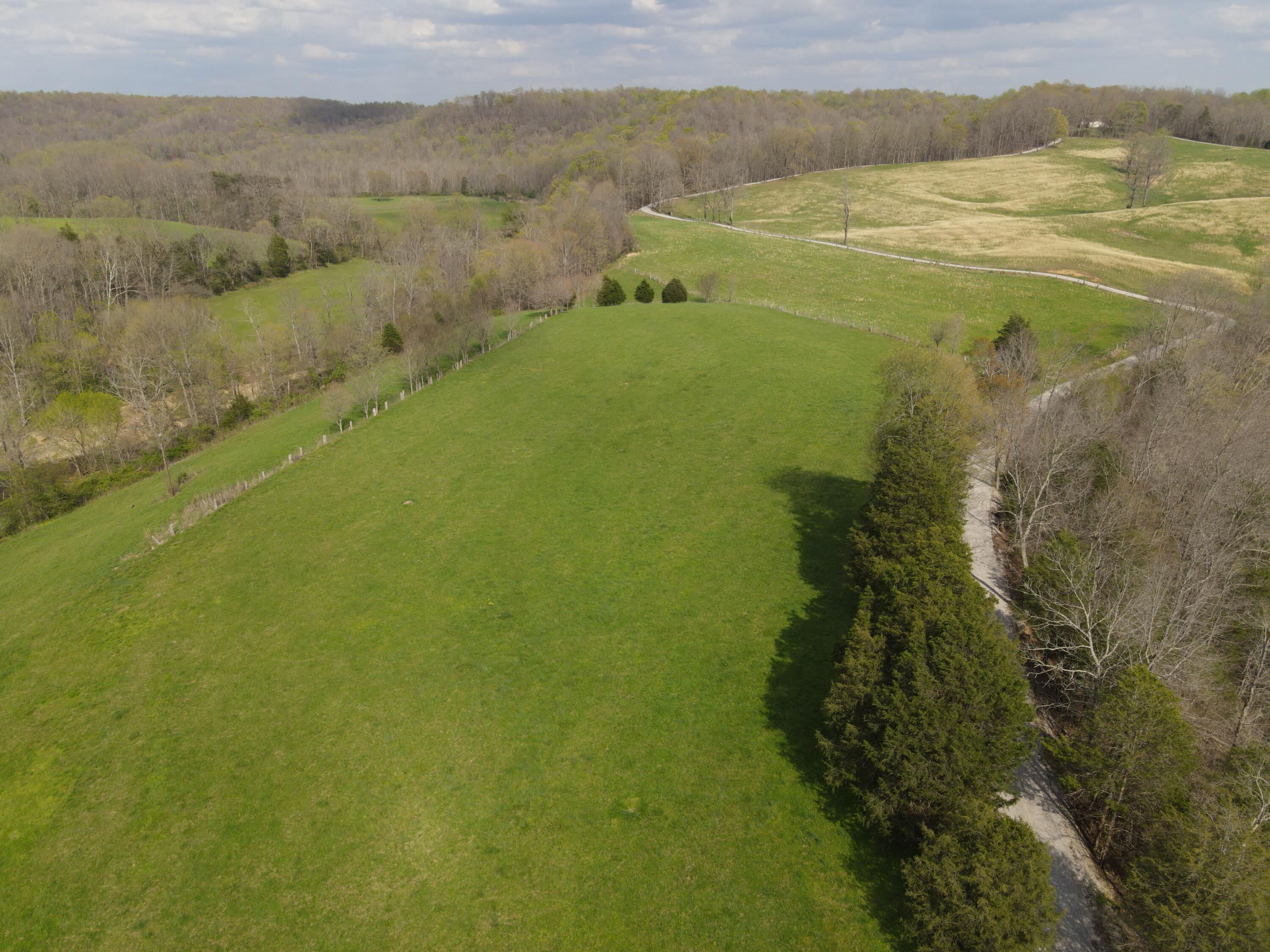 667 Troutstream Road Dunnville, KY 42528 - Photo 10 of 83 Goose Creek Property vol. 1 (5)