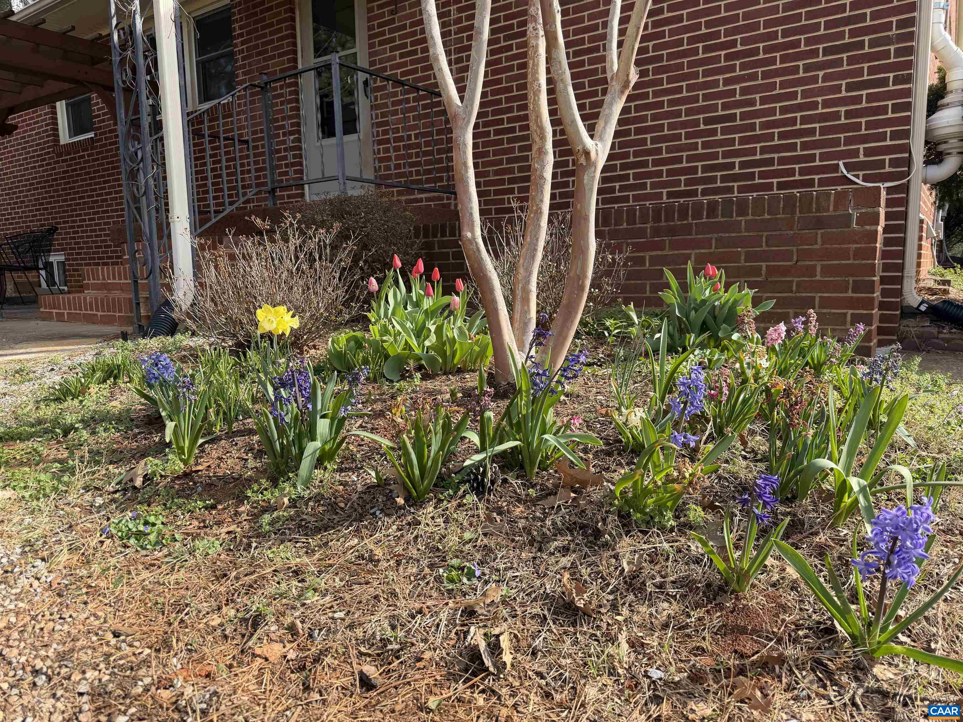 1839 Afton Mountain Road Afton, VA 22920 - Photo 3 of 11 a view of a backyard with potted plants