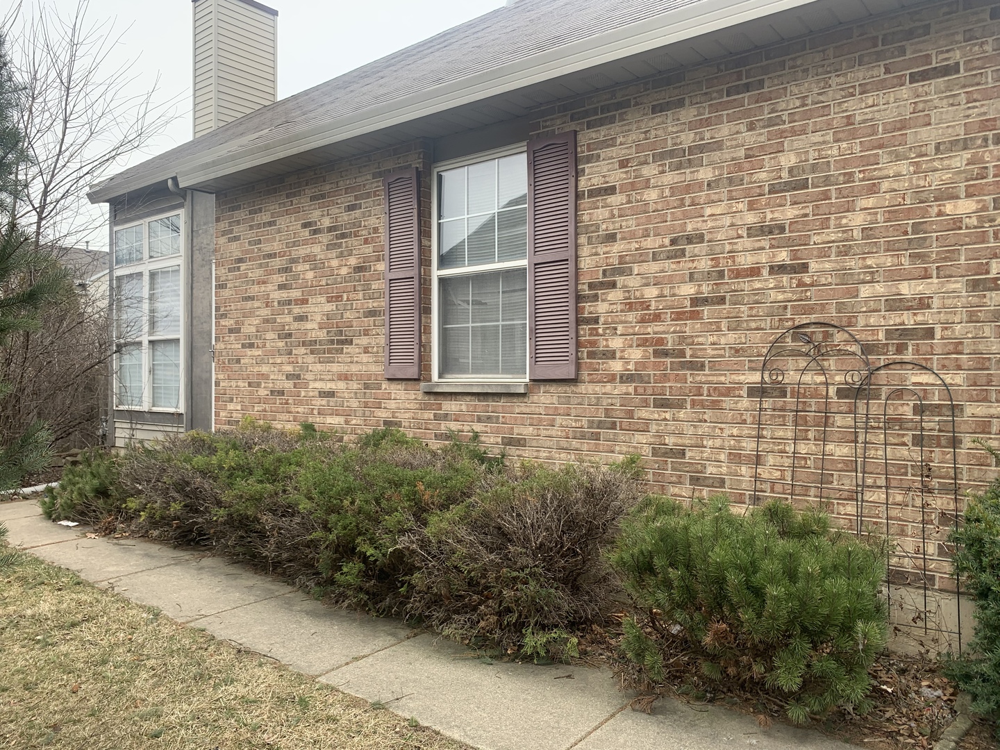 1162 Coventry Lane Bolingbrook, IL 60440 - Photo 2 of 19