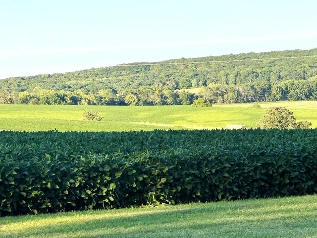 $749,000 | Swiss Lane, Barneveld, WI 53507