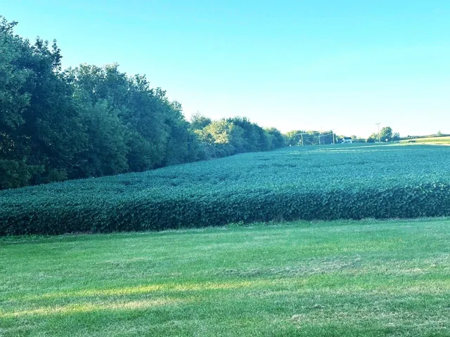 $749,000 | Swiss Lane, Barneveld, WI 53507