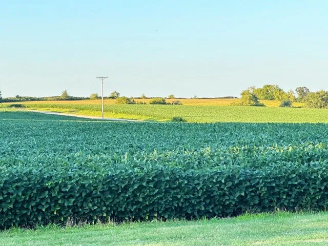 $749,000 | Swiss Lane, Barneveld, WI 53507