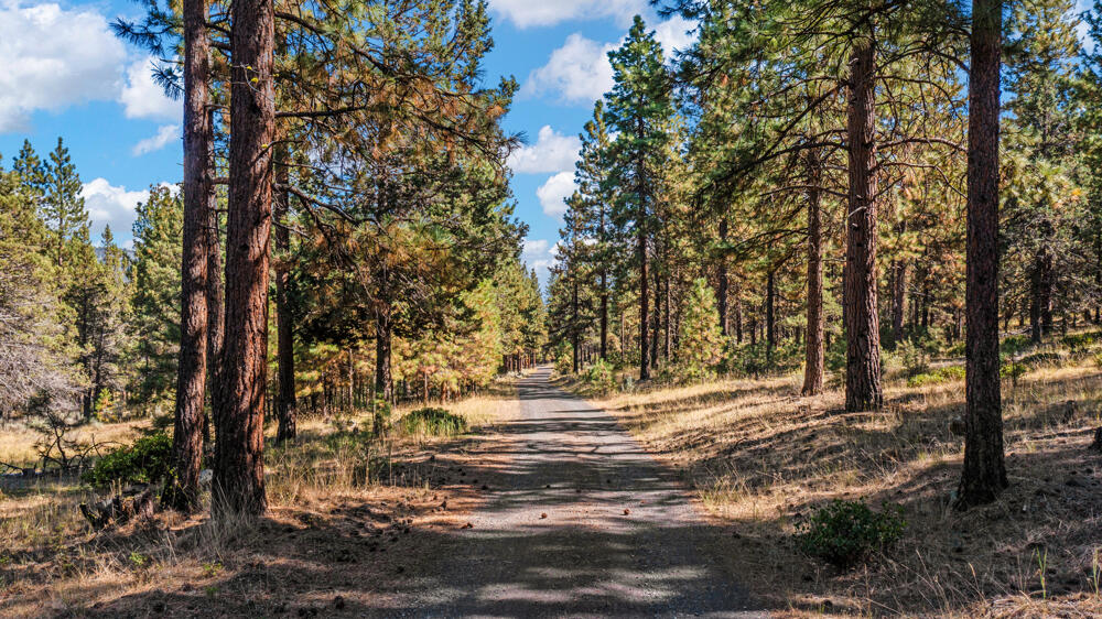 Lot 26 Simpson Canyon Road Klamath Falls, OR 97601 - Photo 5 of 33 SimpsonCanyonLand-10