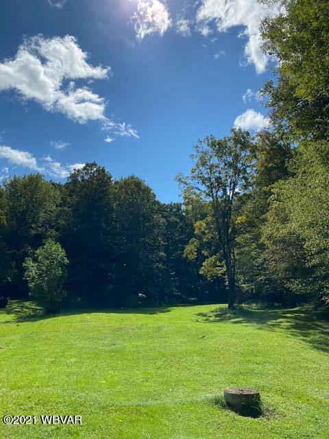 520 Splash Dam Road Forksville, PA 18616 - Photo 12 of 13 Gallery Image 12