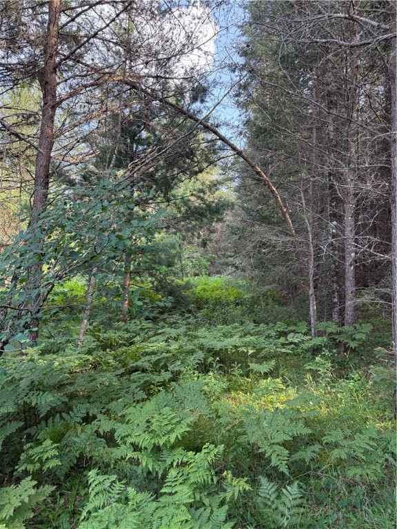 0 Tagalder Trail Hayward, WI 54843 - Photo 4 of 23
