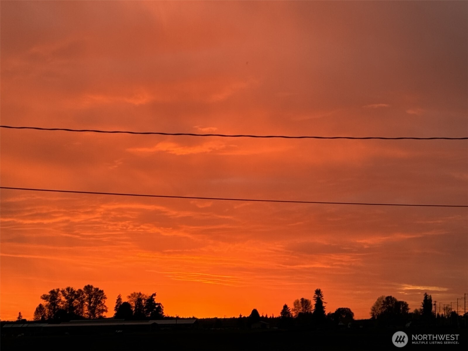 19500 Dahlstedt Road Burlington, WA 98233 - Photo 4 of 39