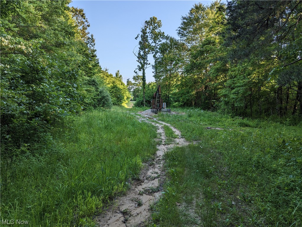 Hewitt Road Nashport, OH 43830 - Photo 15 of 32 Gallery Image 15