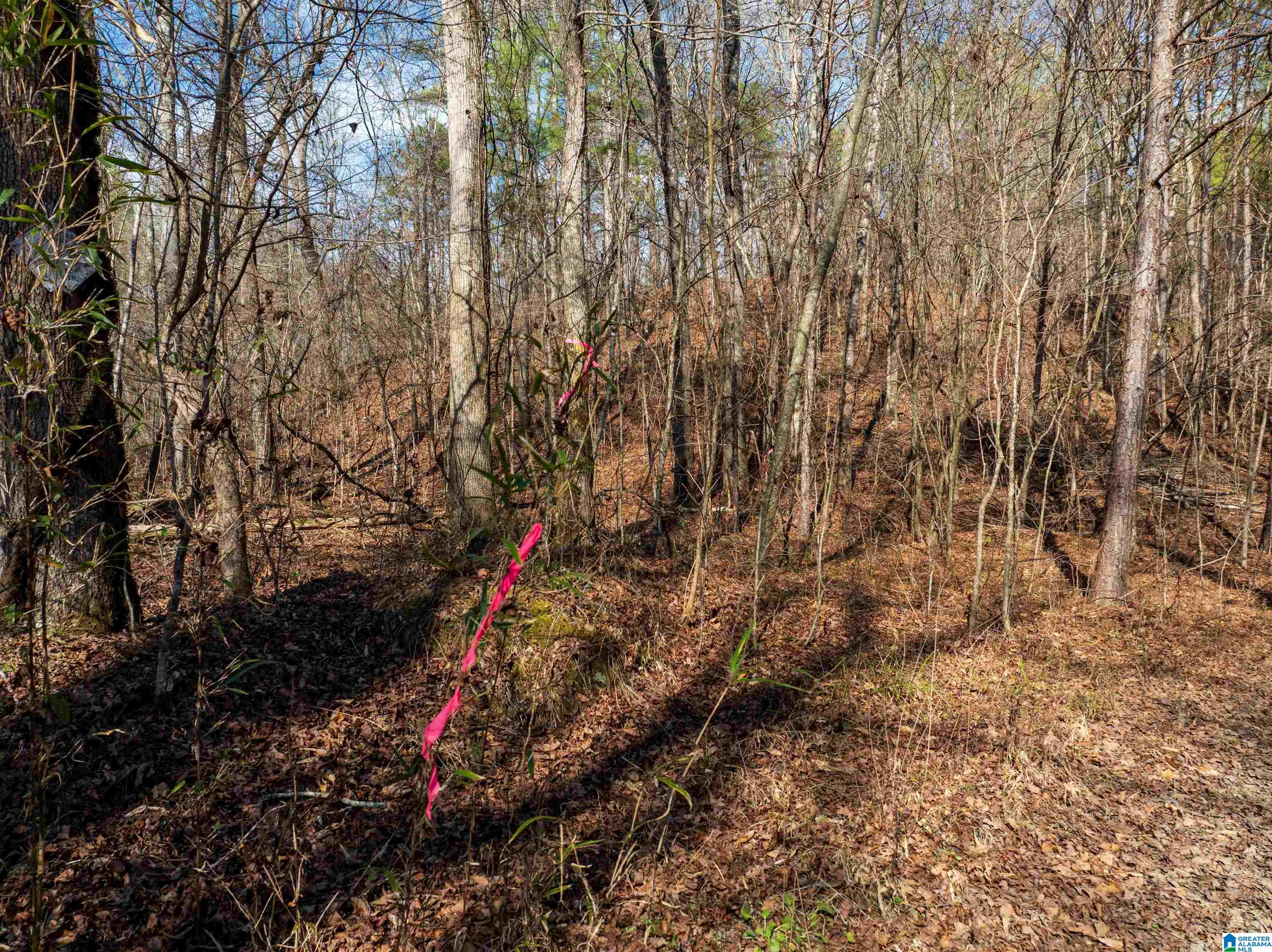 0 Red Hill Road, Unit 15 Oakman, AL 35579 - Photo 7 of 14