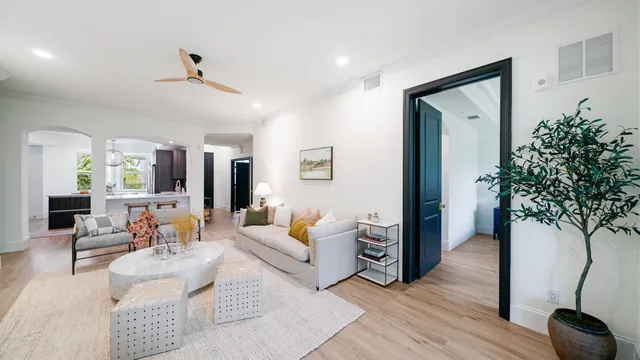 a living room with furniture and a potted plant