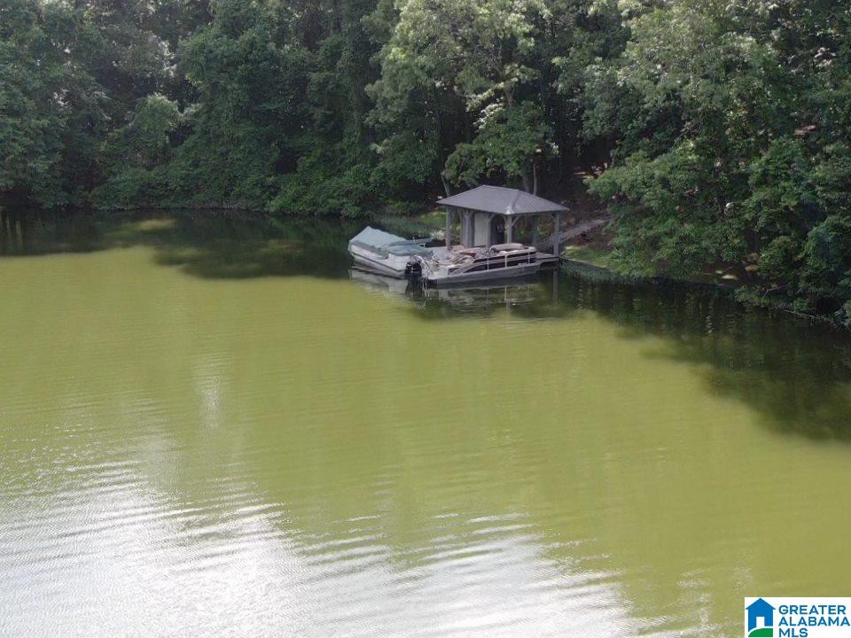 620 Black Acres Road Cropwell, AL 35054 - Photo 3 of 44