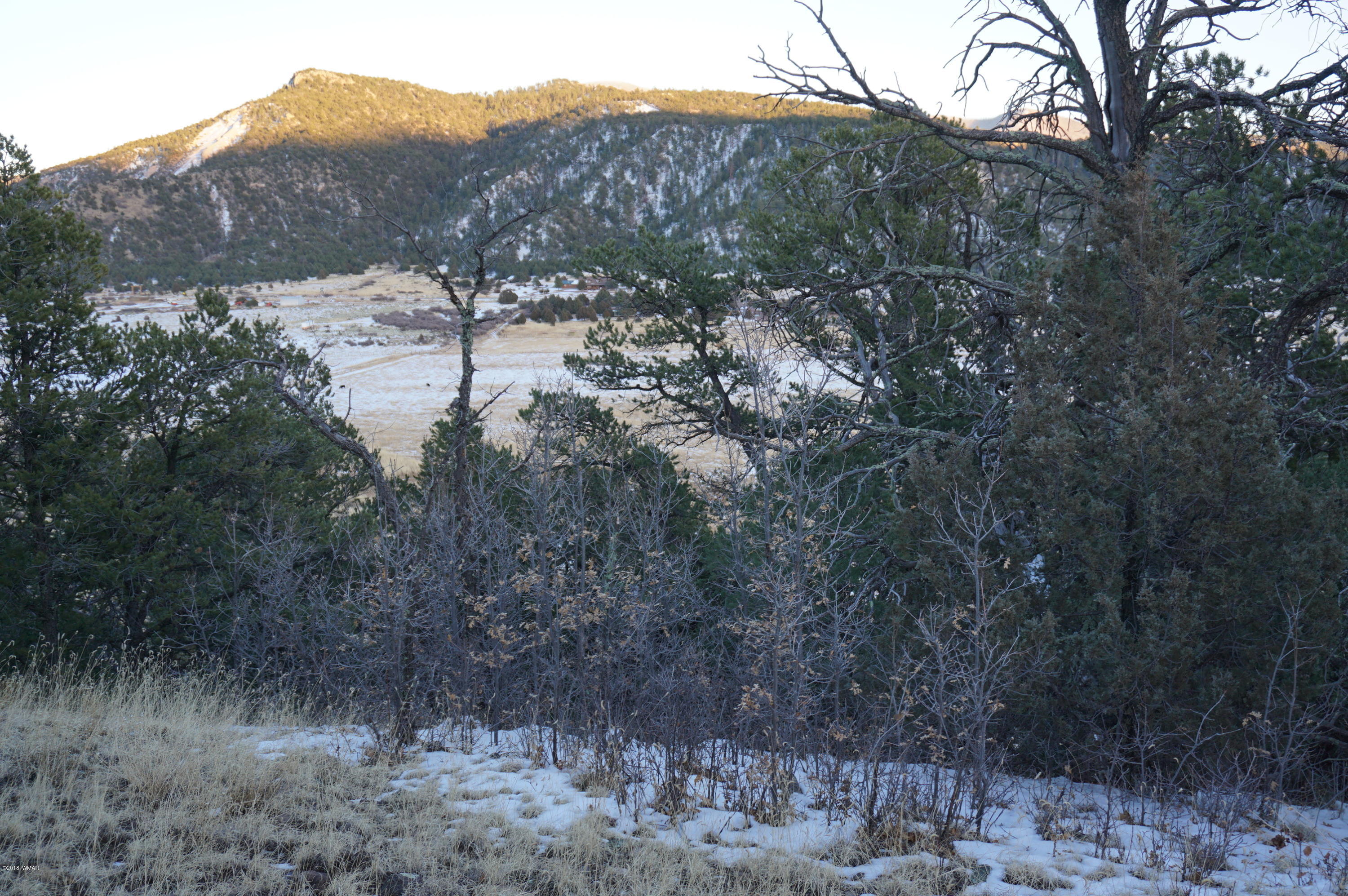 37 Co Road Springerville, AZ 85938 - Photo 11 of 37
