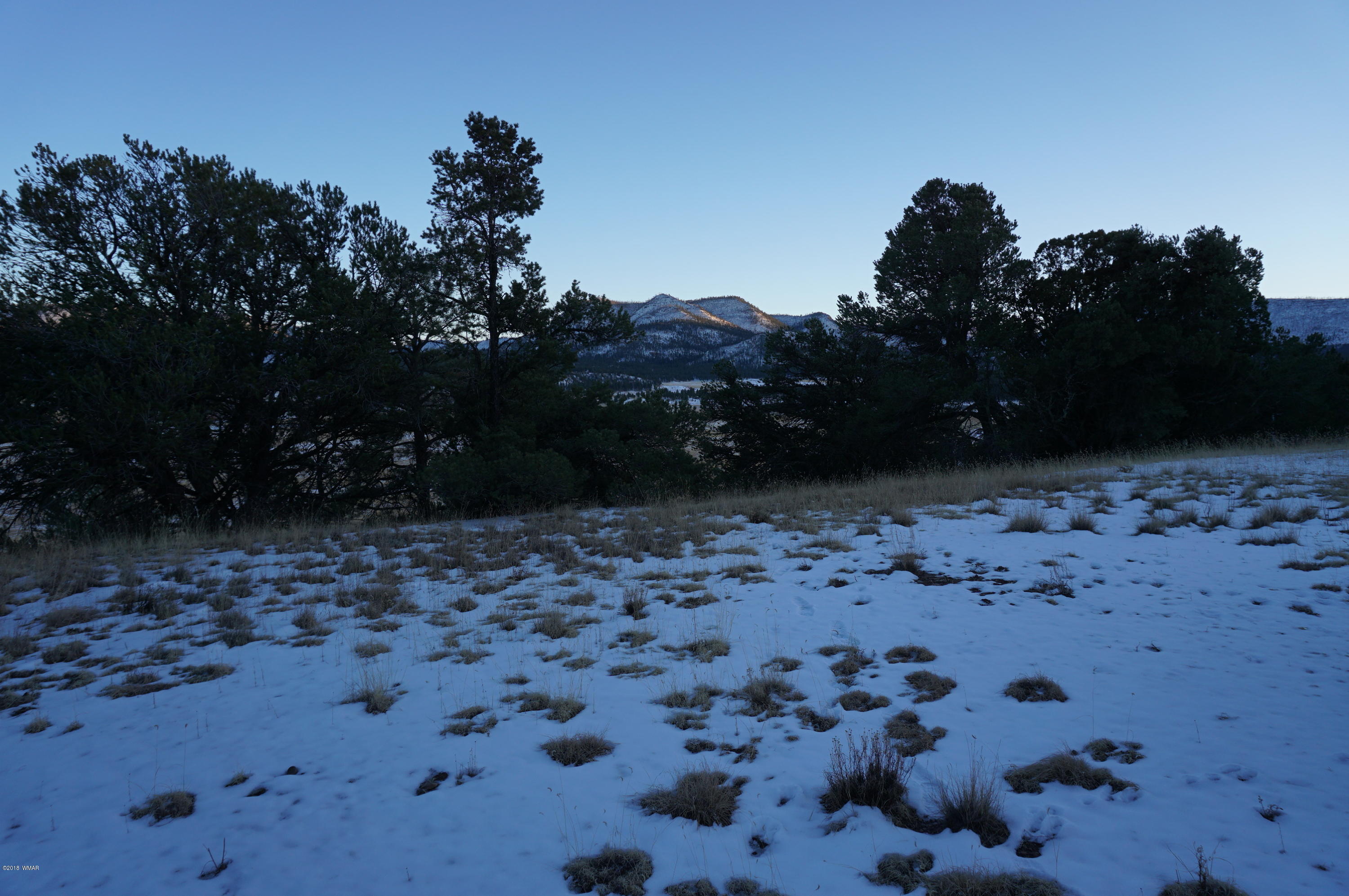 37 Co Road Springerville, AZ 85938 - Photo 12 of 37