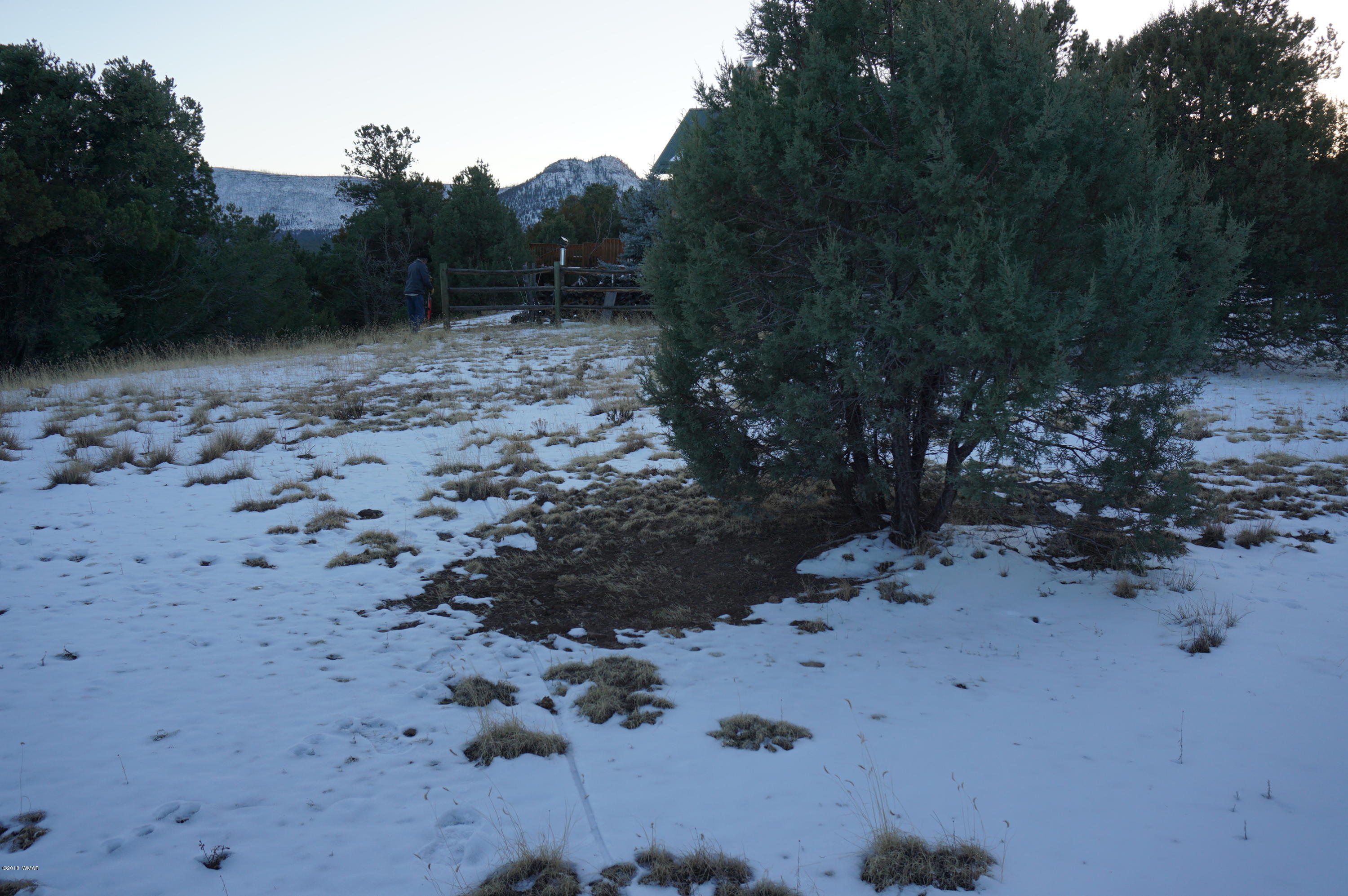 37 Co Road Springerville, AZ 85938 - Photo 13 of 37