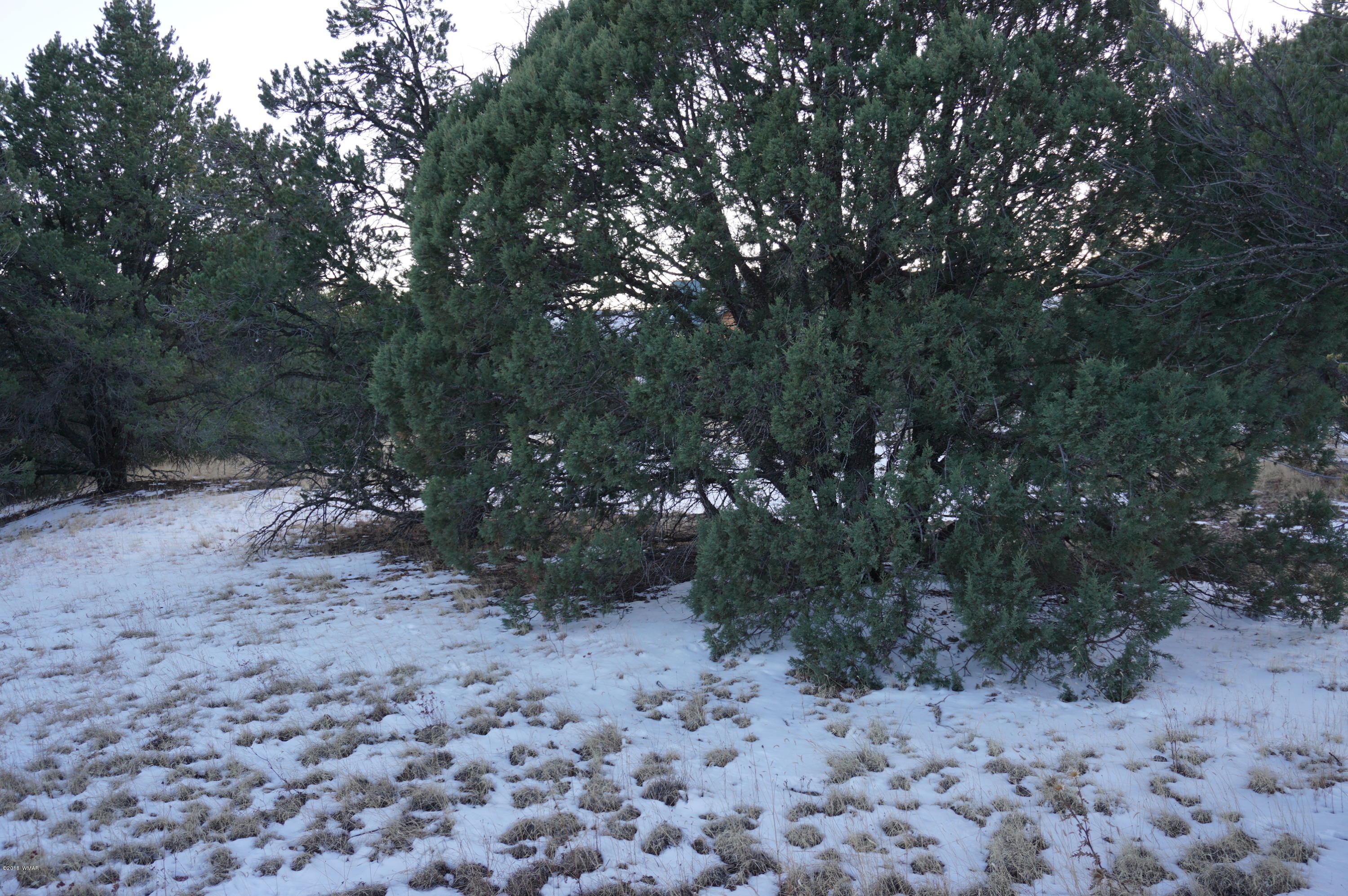 37 Co Road Springerville, AZ 85938 - Photo 14 of 37