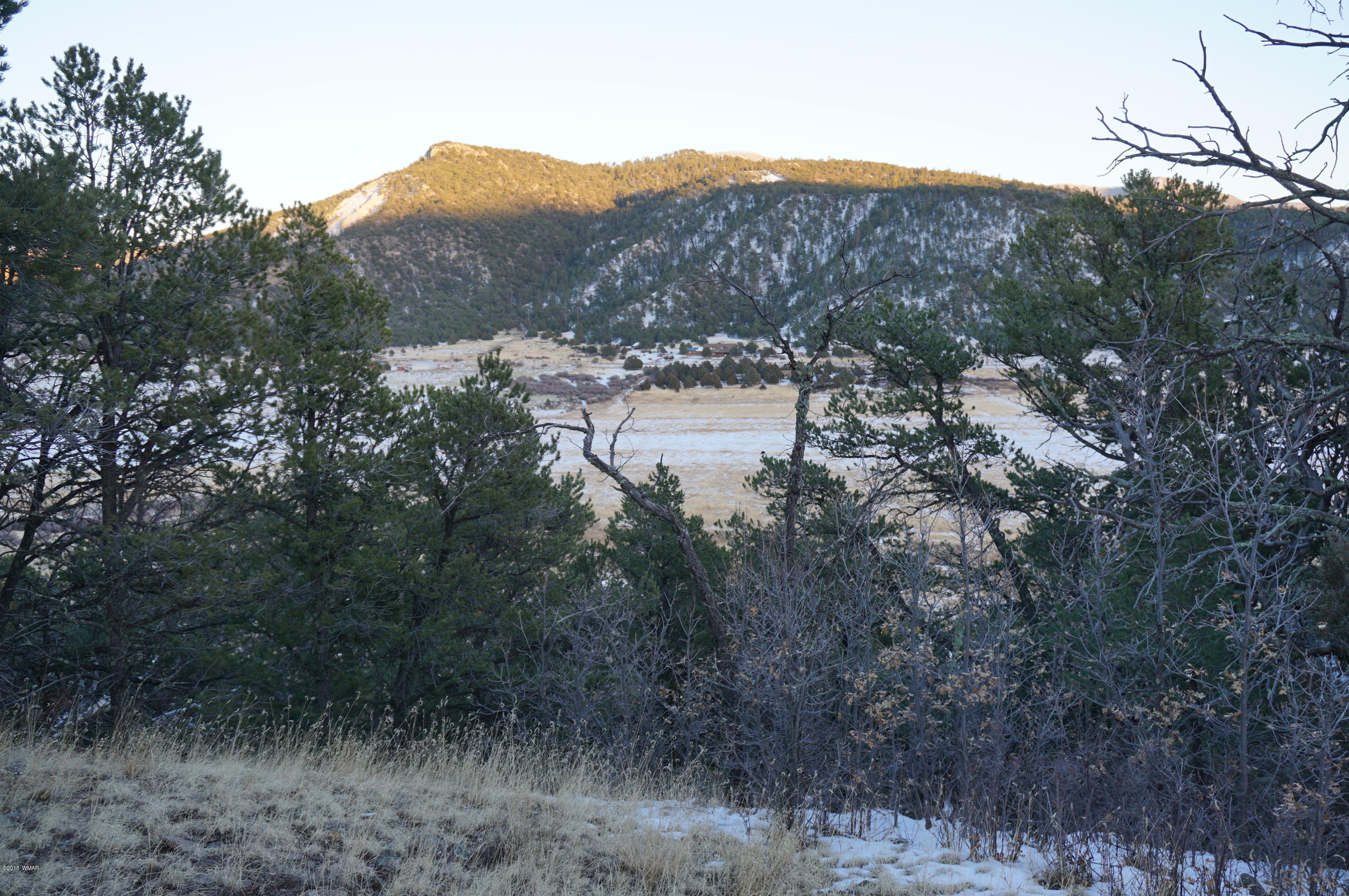 37 Co Road Springerville, AZ 85938 - Photo 15 of 37