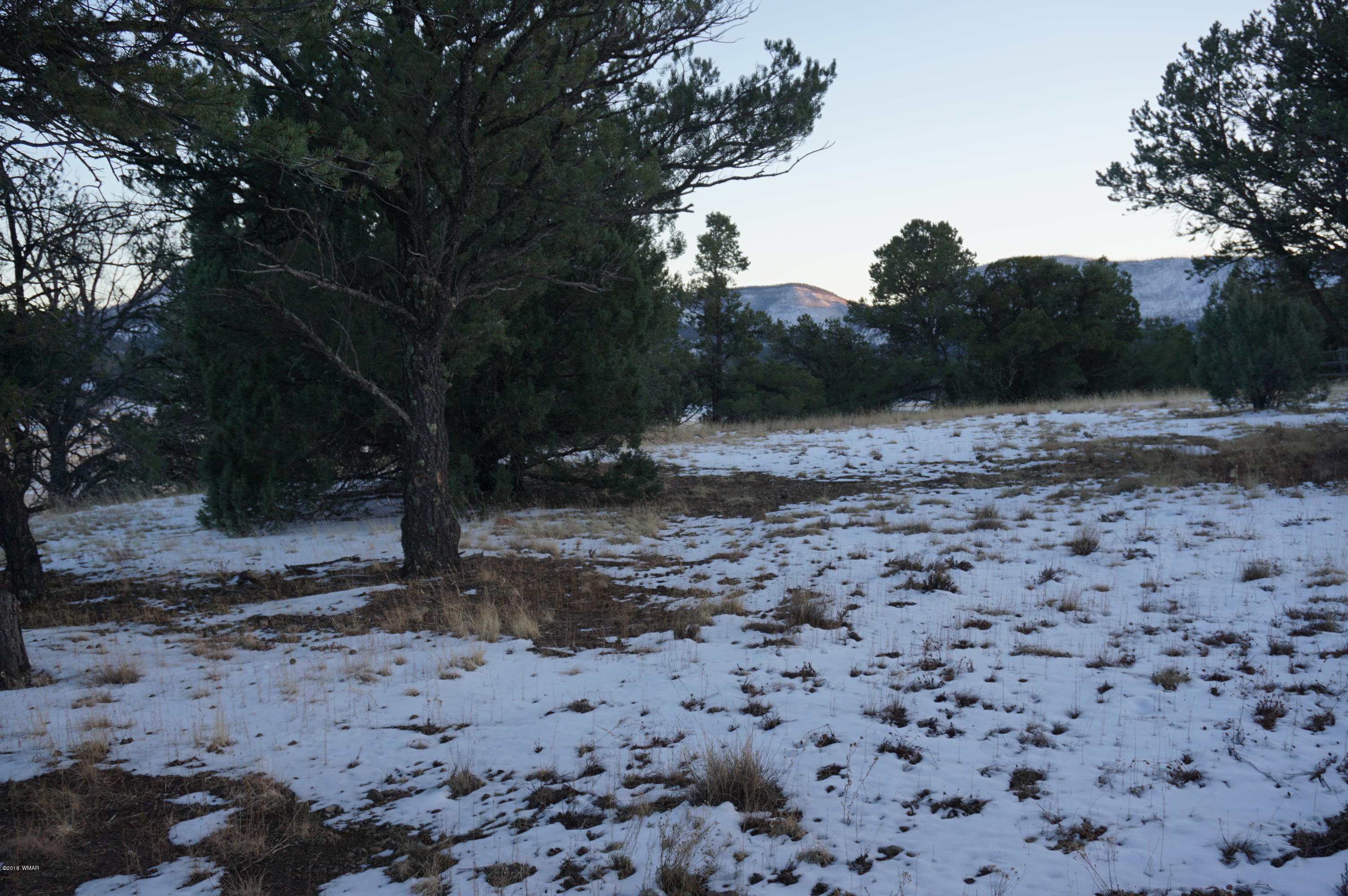 37 Co Road Springerville, AZ 85938 - Photo 16 of 37