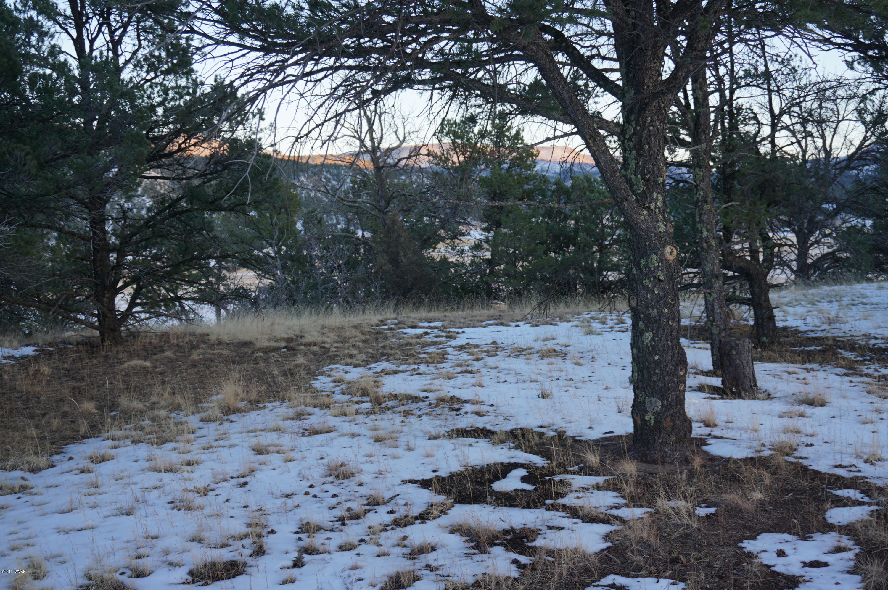 37 Co Road Springerville, AZ 85938 - Photo 17 of 37
