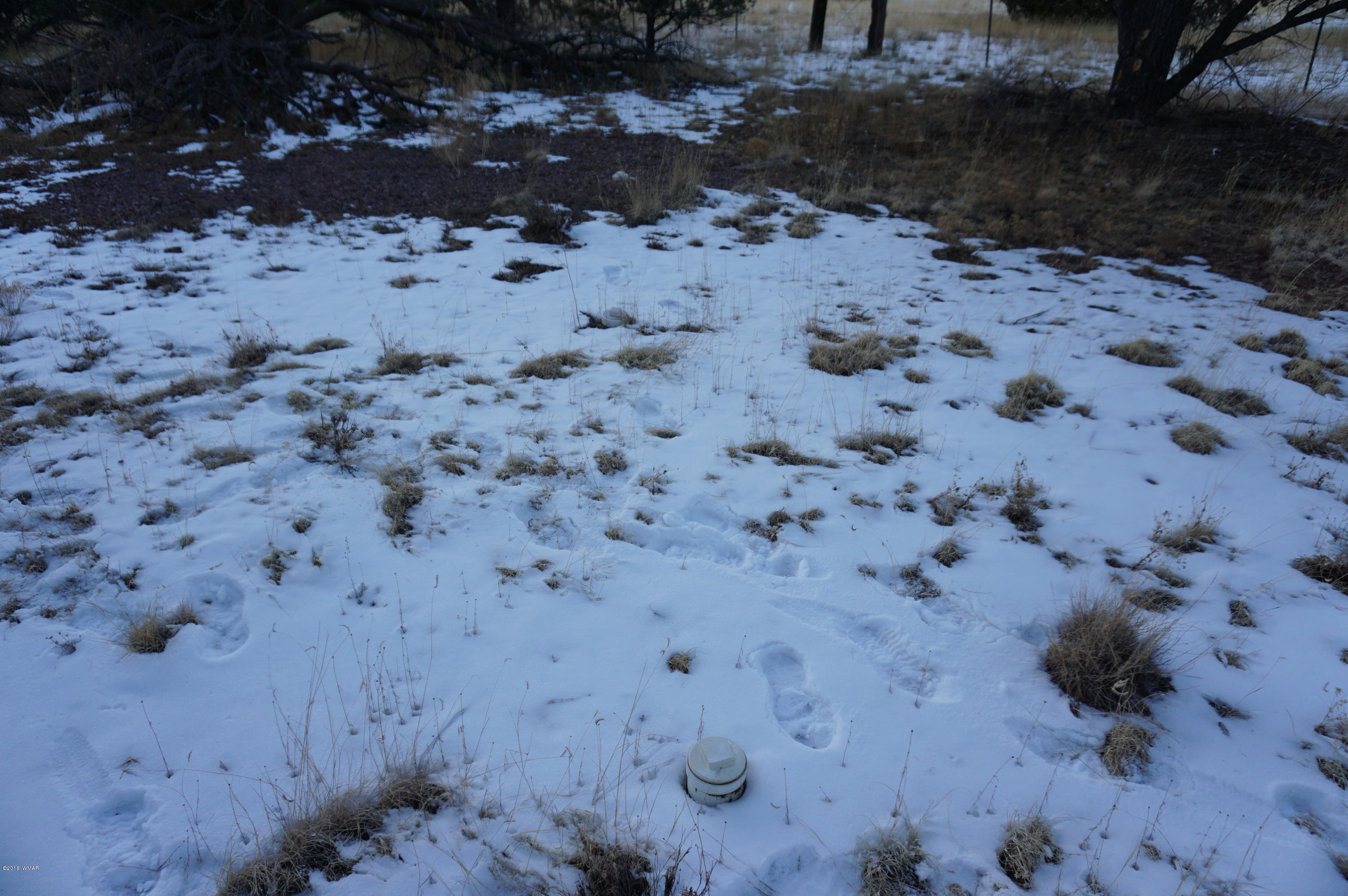 37 Co Road Springerville, AZ 85938 - Photo 18 of 37