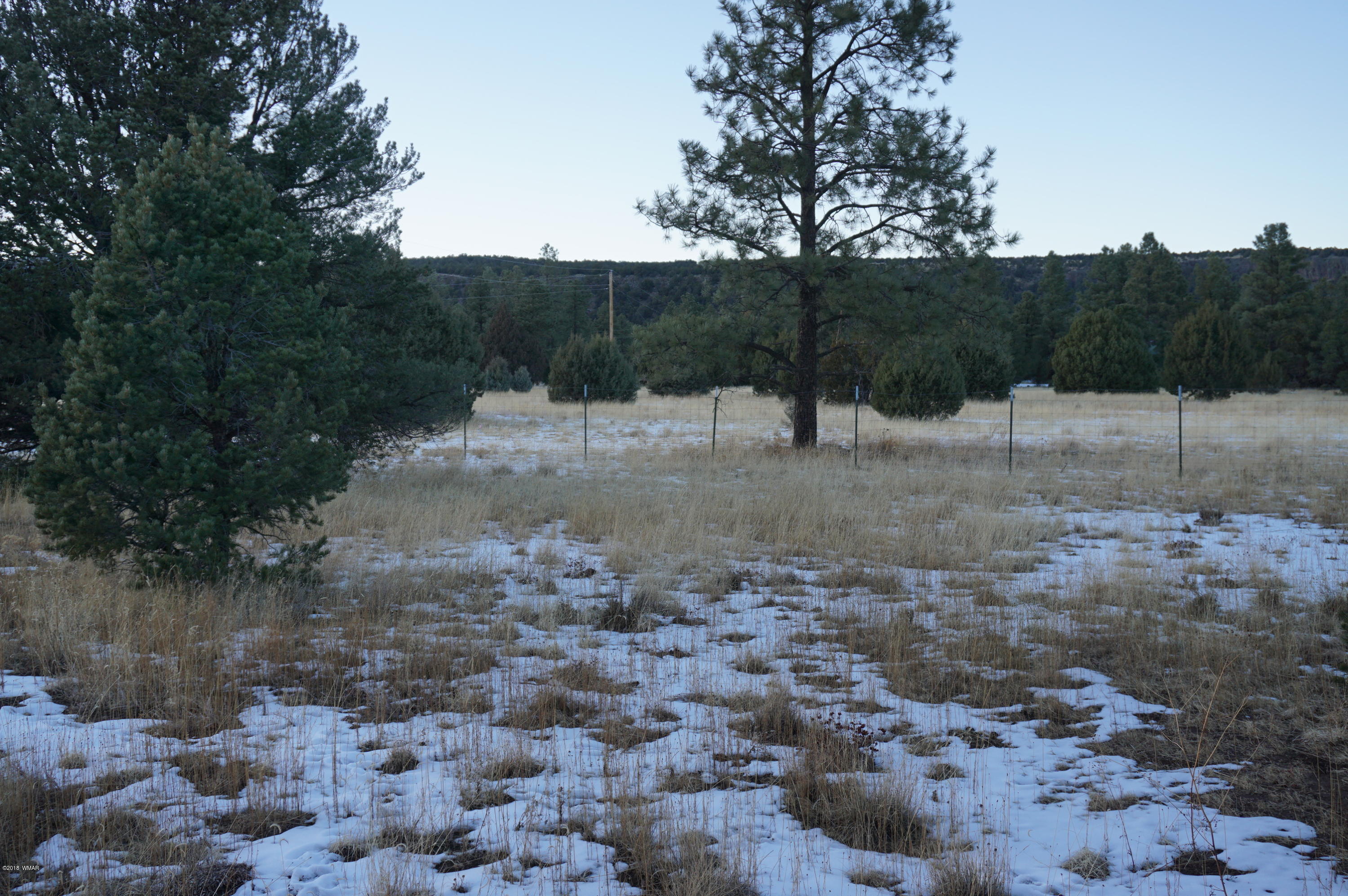 37 Co Road Springerville, AZ 85938 - Photo 19 of 37